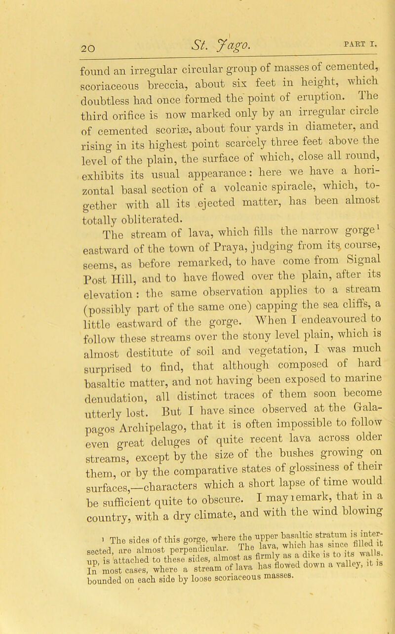 found an irregular circular group of masses of cemented, scoriaceous breccia, about sis feet in height, which doubtless had once formed the point of eruption. The third orifice is now marked only by an irregular circle of cemented scorise, about four yards in diameter, and rising in its highest point scarcely three feet above the level of the plain, the surface of which, close all round, exhibits its usual appearance: here we have a hori- zontal basal section of a volcanic spiracle, which, to- gether with all its ejected matter, has been almost totally obliterated. The stream of lava, which fills the narrow gorge1 eastward of the town of Praya, judging from its, course, seems, as before remarked, to have come from Signal Post Hill, and to have flowed over the plain, after its elevation : the same observation applies to a stream (possibly part of the same one) capping the sea cliffs, a little eastward of the gorge. When I endeavoured to follow these streams over the stony level plain, which is almost destitute of soil and vegetation, I was much surprised to find, that although composed of hard basaltic matter, and not having been exposed to marine denudation, all distinct traces of them soon become utterly lost. But I have since observed at the Gala- pagos Archipelago, that it is often impossible to follow even great deluges of quite recent lava across older streams, except by the size of the bushes growing on them or by the comparative states of glossiness of then- surfaces,-characters which a short lapse of time would be sufficient quite to obscure. I may remark, that m a country, with a dry climate, and with the wind blowing > The sides of this gorge, where the upper basaltic stratum is inter- In' most cases, where a stream of lava has flowed down a valley, it is bounded on each side by loose scoriaceous masses.