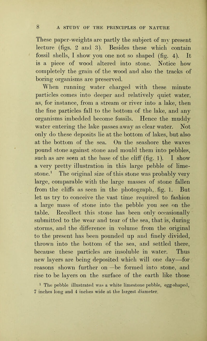 These paper-weights are partly the subject of my present lecture (figs. 2 and 3). Besides these which contain fossil shells, I show you one not so shaped (fig. 4). It is a piece of wood altered into stone. Notice how completely the grain of the wood and also the tracks of boring organisms are preserved. When running water charged with these minute particles comes into deeper and relatively quiet water, as, for instance, from a stream or river into a lake, then the fine particles fall to the bottom of the lake, and any organisms imbedded become fossils. Hence the muddy water entering the lake passes away as clear water. Not only do these deposits lie at the bottom of lakes, but also at the bottom of the sea. On the seashore the waves pound stone against stone and mould them into pebbles, such as are seen at the base of the cliff (fig. 1). I show a very pretty illustration in this large pebble of lime- stone.1 The original size of this stone was probably very large, comparable with the large masses of stone fallen from the cliffs as seen in the photograph, fig. 1. But let us try to conceive the vast time required to fashion a large mass of stone into the pebble you see on the table. Recollect this stone has been only occasionally submitted to the wear and tear of the sea, that is, during storms, and the difference in volume from the original to the present has been pounded up and finely divided, thrown into the bottom of the sea, and settled there, because these particles are insoluble in water. Thus new layers are being deposited which will one day—for reasons shown further on —be formed into stone, and rise to be layers on the surface of the earth like those 1 The pebble illustrated was a white limestone pebble, egg-shapeil, 7 inches long and 4 inches wide at the largest diameter.
