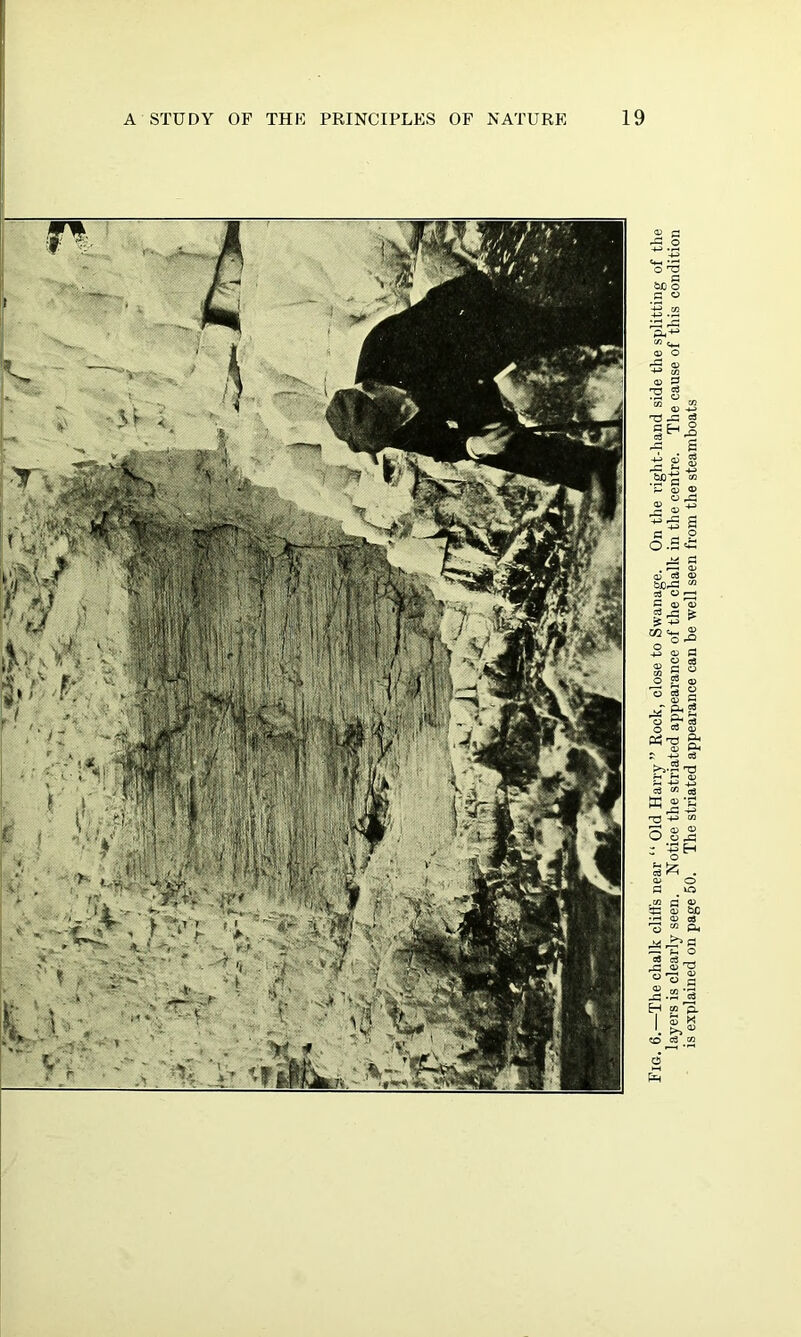 Fig. 6.—The chalk cliffs near “ Old Harry” Rock, close to Swanage. On the right-hand side the splitting of the layers is clearly seen. Notice the striated appearance of the chalk in the centre. The cause of this condition is explained on page 50. The striated appearance can be well seen from the steamboats