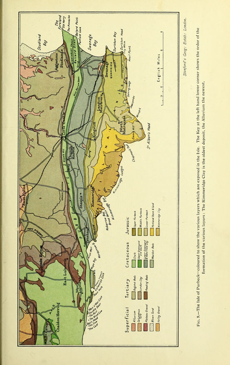 I I? o Fig. 9.—The Isle of Purbeck—coloured to show the various layers which are exposed in the Isle. The Key at the left hand lower corner shows the order of the formation of the various layers : The Kimmeridge Clay is the oldest deposit, the Alluvium the newest.