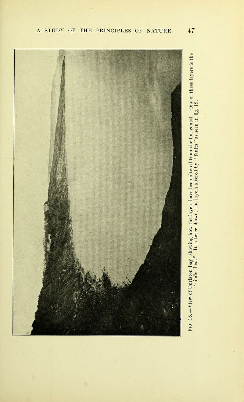 Fig. 18.—View of Durlston Hay, showing how the layers have been altered from the horizontal. One of these layers is the “einder bed.” It is twice shown, the layers altered by “ faults” as seen in fig. 19.