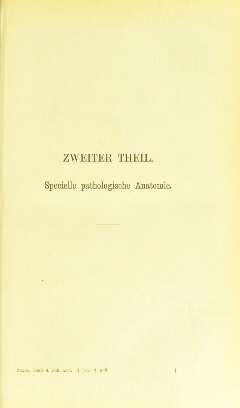 ZWEITER THEIL. Specielle pathologische Anatomie.