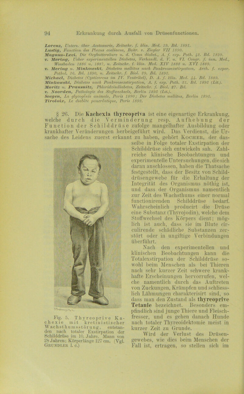 Lovenz, Unters, über Acctonnrie, Xeilschr. f. Min. Med. 10. lid. JS91. Lustig, Fuiiclioii des Plexus cneliaens, Bcitr. v. Ziegler VII 1800. Magmis-Levi. Die Oxyhvttersäurc n. d. Coma diahet., A. f. exp. Palh. .>,2. Hd. 1800. V. Meriug, Ueber experimentellen Diabetes, Verhandl. d. V. n. VI. Congr. f. inn. Med., Wiesbaden 1886 v. 1887, u. Zeüschr. f. klin. Med. XIV 1888 u. XVI 1880. V. Meriug n. Minlcowslcl, Diabetes mellitus nach Pankreasexstirpation, .ireh. f. erper. Pathol. 36. Bd. 1890, u. Zeüschr. f. Biol. SO. Bd. 1802. Michael, Diabetes (Oyslicercus im IV. Ventrikel), D. A. f. klin. Med. >,4. Bd. 1880. Minlcoivslci, Diabetes nach Pankreasexstirpation, .4. f. exp. Path. .81. Bd. 1803 (Lit.J. Moritz u. Pransnitz, Phloridzindiabetes, Zeüschr. /. Biol. S7. Bd. V. Xoorden, Pathologie des Stoffwechsels, Berlin 1893 (Lü.). Seegen, La glycogenie animale, Paris 1890; Der Diabetes mellitus, Berlin 1803. Tiroloix, Le diabite pana-eatique, Paris 189S. § 26. Die Kachexia tliyreopriva ist eine eigenartige Erkrankung, welche durch die Verminderung resp. Aufhel)ung der Function der Schilddrüse zufolge mangelhafter Ausbildung oder krankhafter Veränderungen herbeigeführt wird. Das Verdienst, die Ur- sache des Leidens zuerst erkannt zu haben, gehört Kocher, der das- selbe in Folge totaler Exstirpation der Schilddrüse sich entwickeln sah. Zahl- reiche klinische Beobachtungen und experimentelle Untersuchungen, die sich daran anschlossen, haben die Thatsache festgestellt, dass der Besitz von Schild- drüsengewebe für die Erhaltung der Integrität des Organismus nöthig ist. und dass der Organismus namentlich zur Zeit des Wachsthums einer normal fnnctionirenden Schilddrüse Ijedarf. Wahrscheinlich producirt die Drüse eine Substanz (Thyrqjodin). welche dem Stoffwechsel des Körpers dient: mög- lich ist auch, dass sie im Blute cir- culirende schädliche Substanzen zer- stört oder in überführt. Nach den experimentellen und klinischen Beobachtungen kann die Totalexstirpation der Schilddrüse so- wohl beim Menschen als bei Thieren nach sehr kurzer Zeit schwere krank- hafte Erscheinungen hervorrufen. wel- che namentlich durch das Auftreten von Zuckungen. Krämpfen und schliess- lich Lähmungen charakterisirt sind, so dass man den Zustand als thyreoprive Tetanie bezeichnet. Besonders em- pfindlich sind junge Thiere und Fleisch- fresser, und es gehen danach Hunde nach totaler Thyreoidektoniie meist in kurzer Zeit zu Orundc. Wird der V'erlust des Drüsen- gewebes, wie dies beim Menschen der Fall ist. ertragen, .so stellen sicli im ungiftige Verbindungen Fi^. 5. T h y r c o ]) r i V e K a - chexie iti i t Icrcit iii i stischer Wachst]ium SStör u iifi, entstan- den nach totaler Exstirpation der Schilddrüse im 10. Jalire. iMann von 28.Fahren; Eörperlänge 127 ein. (Vgl. GRUNDI.KI! 1. c.)
