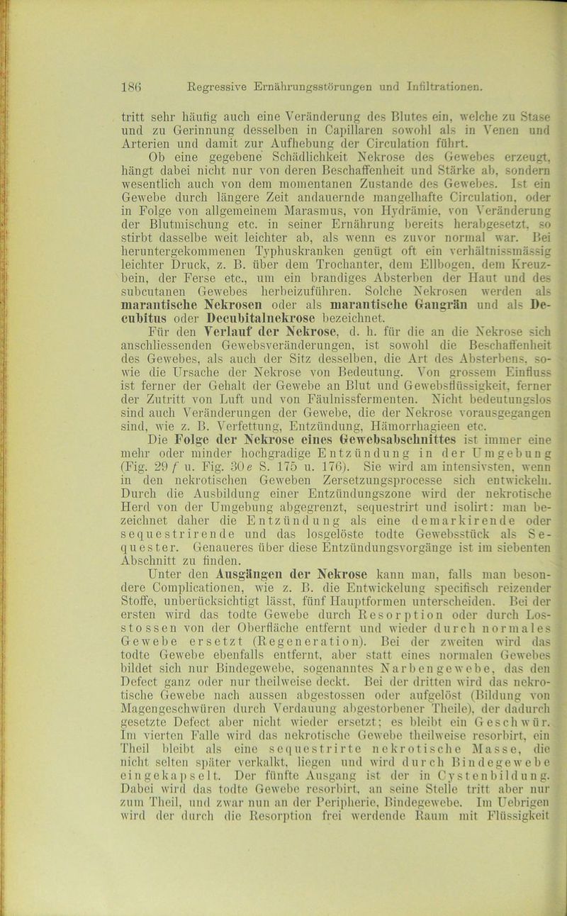 tritt sehr häufig auch eine Veränderung des Blutes ein, welche zu Stase und zu Gerinnung desselben in Capillaren sowohl als in Venen und Arterien und damit zur Aufhebung der Circulation führt. Ob eine gegebene Scliädlichkeit Nekrose des Gewebes erzeugt, hängt dabei nicht nur von deren Beschaffenheit und Stärke ab, sondern wesentlich auch von dem momentanen Zustande des Gewebes. Ist ein Gewebe durch längere Zeit andauernde mangelhafte Circulation, oder in Folge von allgemeinem Marasmus, von Il3'drämie, von Veränderung der Blutmischung etc. in seiner Ernährung bereits herabgesetzt, so stirbt dasselbe weit leichter ab, als wenn es zuvor normal war. Bei heruntergekommenen Typhuskranken genügt oft ein verhältnissmässig leichter Druck, z. B. über dem Trochanter, dem Ellbogen, dein Kreuz- bein, der Ferse etc., um ein brandiges Absterben der Haut und des subcutaiien Gewebes herbeizuführen. Solche Nekrosen werden als marantische Nekrosen oder als marantische Gangrän und als I)e- cuhitiis oder Decubitalnekrose bezeichnet. Für den Verlauf der Nekrose, d. h. für die an die Nekrose sich anschliessenden Gewebsveränderungen, ist sowohl die Beschaffenheit des Gewebes, als auch der Sitz desselben, die Art des Absterbens, so- wie die Ursache der Nekrose von Bedeutung. Von grossem Einfluss ist ferner der Gehalt der Gewebe an Blut und Gewebsflüssigkeit, ferner der Zutritt von Luft und von Fäulnissfermenten. Nicht bedeutungslos sind auch Veränderungen der Gewebe, die der Nekrose vorausgegangen sind, wie z. B. Verfettung, Entzündung, Hämorrhagieen etc. Die Folge der Nekrose eines Gewebsahschnittes ist immer eine mehr oder minder hochgradige Entzündung in der Um gebun g (Fig. 29/' u. Fig. 30 e S. 175 u. 176). Sie wird am intensivsten, wenn in den nekrotischen Geweben Zersetzungsprocesse sich entwickeln. Durch die Ausbildung einer Entzündungszone wird der nekrotische Herd von der Umgebung abgegrenzt, sequestrirt und isolirt: man be- zeichnet daher die Entzündung als eine deiuarkirende oder sequestrirende und das losgelöste todte Gewebsstück als Se- quester. Genaueres über diese Eutzüudungsvorgänge ist im siebenten Abschnitt zu finden. Unter den Ausgängen der Nekrose kann man, falls man beson- dere Complicationen, wie z. B. die Entwickelung specifisch reizender Stoffe, unberücksichtigt lässt, fünf Hauptformen unterscheiden. Bei der ersten wird das todte Gewebe durch Resorption oder durch Los- stossen von der Oberfläche entfernt und wieder durch normales Gewebe ersetzt (Regeneration). Bei der zweiten wird das todte Gewebe ebenfalls entfernt, aber statt eines normalen Gewel)es bildet sich nur Bindegewebe, sogenanntes Narben ge webe, das den Defect ganz oder nur theilweise deckt. Bei der dritten wird das nekro- tische Gewebe nach aussen abgestossen oder aufgelöst (Bildung von Magengeschwüren durch Verdauung abgestorbener Theile), der dadurch gesetzte Defect aber nicht wieder ersetzt; es bleibt ein Geschwür. Im vierten Falle wird das nekrotische Gewebe theilweise resorbirt, ein Theil Ideibt als eine sc(iuestrirte nekrotische Masse, die nicht selten s])äter verkalkt, liegen nnd wird durch Bindegewebe eingekajjselt. Der fünfte Ausgang ist der in Cyst enbildun g. Dabei wird das todte Gewebe resorbirt, an seine Stelle tritt aber nur zum Theil, und zwar nun an der Reripherie, Bindegewebe. Im Uebrigen wird der durch die Resori)tion frei werdende Raum mit Flüssigkeit