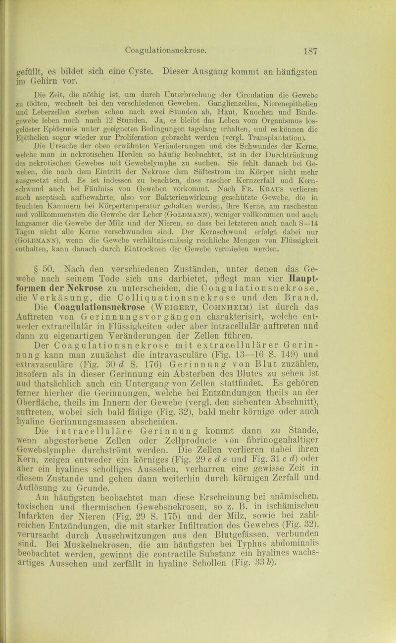 gefüllt, es bildet sich eine C}^ste. Dieser Ausgang kommt an häufigsten iin Gehirn vor. Die Zeit, die nöthig ist, um durch Unterbrechung der Circulation die Gewebe zu tödten, wechselt bei den verschiedenen Geweben. Ganglienzellen, Nicrenepithelien und Leberzellen sterben schon nach zwei Stunden ab, Haut, Knochen und Binde- gewebe leben noch nach 12 Stunden. Ja, es bleibt das Leben vom Organismus los- gelöster Epidermis unter geeigneten Bedingungen tagelang erhalten, und es können die Epithelien sogar wieder zur Proliferation gebracht werden (vergl. Transplantation). Die Ursache der oben erwähnten Veränderungen und des Schwundes der Kerne, welche man in nekrotischen Herden so häufig beobachtet, ist in der Durchtränkimg des nekrotischen Gewebes mit Gewebslymphe zu suchen. Sie fehlt danach bei Ge- weben, die nach dem Eintritt der Nekrose dem Säftestrom im Körper nicht mehr ausgesetzt sind. Es ist indessen zu beachten, dass rascher Kernzerfall und Kern- schwund auch bei Fäuluiss von Geweben vorkommt. Nach Fß. Kraus verheren auch aseptisch aufbewahrte, also vor Bakterienwirkung geschützte Gewebe, die in feuchten Kammern bei Körpertemperatur gehalten werden, ihi’e Kerne, am raschesten und vollkommensten die Gewebe der Leber (Goldmann), weniger vollkommen und auch langsamer die Gewebe der Milz und der Nieren, so dass bei letzteren auch nach 8—14 Tagen nicht alle Kerne verschwunden sind. Der Kernschwund erfolgt dabei nur (Goldmann), wenn die Gewebe verhältnissmässig reichliche Mengen von Flüssigkeit enthalten, kann danach durch Eintrocknen der Gewebe vermieden werden. § 50. Nach den verschiedeneu Zuständen, unter denen das Ge- webe nach seinem Tode sich uns darbietet, pflegt man vier Ilaupt- formeü der Nekrose zu iintersclieiden, die Coagulationsnekrose, die Verkäsung, die Colliquationsnekrose und den Brand. Die Coaguliitionsiiekrose (Weigert, Cohnheim) ist durch das Auftreten von Gerinnungsvor gäugen charakterisirt, welche ent- weder extracellulär in Flüssigkeiten oder aber intracellulär auftreten und dann zu eigenartigen Veränderungen der Zellen führen. Der Coagulationsnekrose mit extracellulär er Gerin- nung kann man zunächst die intravasculäre (Fig. 13—16 S. 149) und extravasculäre (Fig. 30 d S. 176) Gerinnung von Blutzuzählen, insofern als in dieser Gerinnung ein Absterben des Blutes zu sehen ist und thatsächlich auch ein Untergang von Zellen stattfindet. Es gehören ferner hierher die Gerinnungen, welche bei Entzündungen theils an der Oberfläche, theils im Innern der Gewebe (vergl. den siebenten Abschnitt), auftreten, wobei sich bald fädige (Fig. 32), bald mehr körnige oder auch hyaline (>erinnungsmassen abscheiden. Die intracelluläre Gerinnung kommt dann zu Stande, wenn abgestorbene Zellen oder Zellproducte von fibrinogenhaltiger Gewebslymphe durchströmt werden. Die Zellen verlieren dabei ihren Kern, zeigen entweder ein körniges (Fig. 29 c d e und Fig. 31 c d) oder aber ein hyalines scholliges Aussehen, verharren eine gewisse Zeit in diesem Zustande und gehen dann weiterhin durch körnigen Zerfall und Auflösung zu Grunde. Am häufigsten beobachtet man diese Erscheinung bei anämischen, toxischen und thermischen Gewebsnekrosen, so z. B. in ischämischen Infarkten der Nieren (Fig. 29 S. 175) und der Milz, sowie bei zahl- reichen Entzündungen, die mit starker Infiltration des Gewebes (Fig. 32), verursacht durch Ausschwitzungen aus den Blutgefässen, verbunden sind. Bei Muskelnekrosen, die am häufigsten bei Typhus abdominalis beobachtet werden, gewinnt die contractile Substanz ein hyalines wachs- artiges Aussehen und zerfällt in hyaline Schollen (Fig. 33 h).