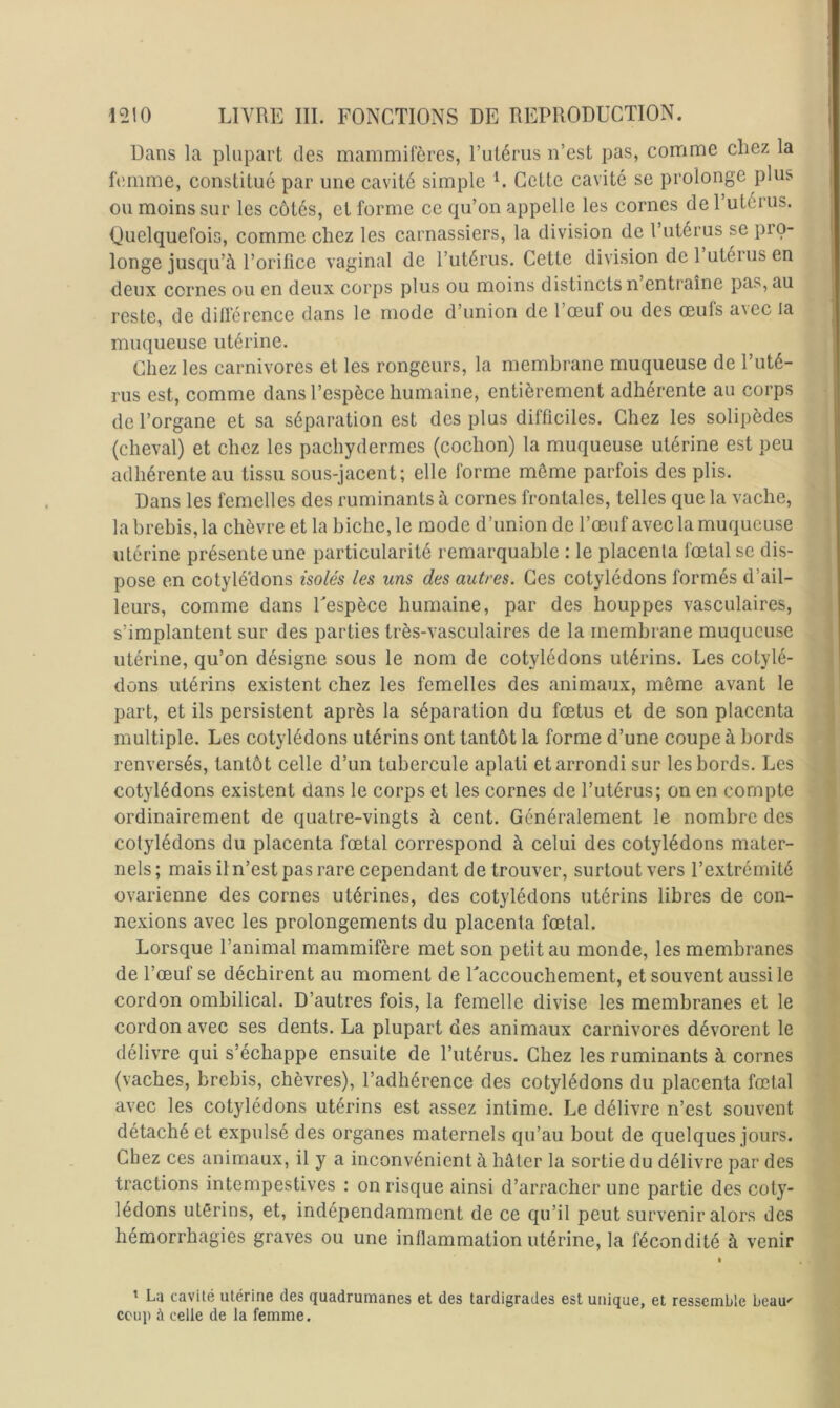 Dans la plupart des mammifères, riilérus n’est pas, comme chez la femme, constitué par une cavité simple L Cette cavité se prolonge plus ou moins sur les côtés, et forme ce qu’on appelle les cornes de l’utérus. Ouelquefois, comme chez les carnassiers, la division de l’utérus se pro- longe jusqu’à l’orifice vaginal de l’utérus. Cette division de 1 utéi us en deux cornes ou en deux corps plus ou moins distincts n entraîne pas, au reste, de diflérence dans le mode d’union de 1 œuf ou des œufs a^cc la muqueuse utérine. Chez les carnivores et les rongeurs, la membrane muqueuse de l’uté- rus est, comme dans l’espèce humaine, entièrement adhérente au corps de l’organe et sa séparation est des plus difficiles. Chez les solipèdes (cheval) et chez les pachydermes (cochon) la muqueuse utérine est peu adhérente au tissu sous-jacent; elle forme môme parfois des plis. Dans les femelles des ruminants à cornes frontales, telles que la vache, la brebis, la chèvre et la biche, le mode d’union de l’œuf avec la muqueuse utérine présente une particularité remarquable : le placenta fœtal se dis- pose en cotylé’dons isolés les uns des autres. Ces cotylédons formés d’ail- leurs, comme dans Uespèce humaine, par des houppes vasculaires, s’implantent sur des parties très-vasculaires de la membrane muqueuse utérine, qu’on désigne sous le nom de cotylédons utérins. Les cotylé- dons utérins existent chez les femelles des animaux, même avant le part, et ils persistent après la séparation du fœtus et de son placenta multiple. Les cotylédons utérins ont tantôt la forme d’une coupe à bords renversés, tantôt celle d’un tubercule aplati et arrondi sur les bords. Les cotylédons existent dans le corps et les cornes de l’utérus; on en compte ordinairement de quatre-vingts à cent. Généralement le nombre des cotylédons du placenta fœtal correspond à celui des cotylédons mater- nels ; mais il n’est pas rare cependant de trouver, surtout vers l’extrémité ovarienne des cornes utérines, des cotylédons utérins libres de con- nexions avec les prolongements du placenta fœtal. Lorsque l’animal mammifère met son petit au monde, les membranes de l’œuf se déchirent au moment de Uaccouchement, et souvent aussi le cordon ombilical. D’autres fois, la femelle divise les membranes et le cordon avec ses dents. La plupart des animaux carnivores dévorent le délivre qui s’échappe ensuite de l’utérus. Chez les ruminants à cornes (vaches, brebis, chèvres), l’adhérence des cotylédons du placenta fœtal avec les cotylédons utérins est assez intime. Le délivre n’est souvent détaché et expulsé des organes maternels qu’au bout de quelques jours. Chez ces animaux, il y a inconvénient à hâter la sortie du délivre par des tractions intempestives ; on risque ainsi d’arracher une partie des coty- lédons utérins, et, indépendamment de ce qu’il peut survenir alors des hémorrhagies graves ou une inflammation utérine, la fécondité à venir ’ La cavité utérine des quadrumanes et des tardigrades est unique, et ressemble beau' coup à celle de la femme.