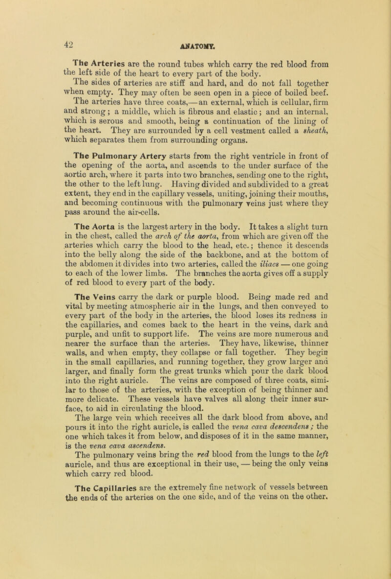 The Arteries are the round tubes which carry the red blood from the left side of the heart to every part of the body. The sides of arteries are stiff and hard, and do not fall together when empty. They may often be seen open in a piece of boiled beef. The arteries have three coats,— an external, which is cellular, firm and strong; a middle, which is fibrous and elastic; and an internal, which is serous and smooth, being a continuation of the lining of the heart. They are surrounded by a cell vestment called a sheath^ which separates them from surrounding organs. The Pulmonary Artery starts from the right ventricle in front of the opening of the aorta, and ascends to the under surface of the aortic arch, where it parts into two branches, sending one to the right, the other to the left lung. Plaving divided and subdivided to a great extent, they end in the capillary vessels, uniting, joining their mouths, and becoming continuous with the pulmonary veins just where they pass around the air-cells. The Aorta is the largest artery in the body. It takes a slight turn in the chest, called the arch of the aorta^ from which are given off the arteries which carry the blood to the head, etc.; thence it descends into the belly along the side of the backbone, and at the bottom of the abdomen it divides into two arteries, called the iliaes — one going to each of the lower limbs. The branches the aorta gives off a supply of red blood to every part of the body. The Veins carry the dark or purple blood. Being made red and vital by meeting atmospheric air in the lungs, and then conveyed to every part of the body in the arteries, the blood loses its redness in the capillaries, and comes back to the heart in the veins, dark and purple, and unfit to support life. The veins are more numerous and nearer the surface than the arteries. They have, likewise, thinner walls, and when empty, they collapse or fall together. They begin in the small capillaries, and running together, they grow larger and larger, and finally form the great trunks which pour the dark blood into the right auricle. The veins are composed of three coats, simi- lar to those of the arteries, with the exception of being thinner and more delicate. These vessels have valves all along their inner sur- face, to aid in circulating the blood. The large vein which receives all the dark blood from above, and pours it into the right auricle, is called the vena cava descendens ; the one which takes it from below, and disposes of it in the same manner, is the vena cava aicendens. The pulmonary veins bring the red blood from the lungs to the left auricle, and thus are exceptional in their use, — being the only veins which carry red blood. The Capillaries are the extremely fine network of vessels between the ends of the arteries on the one side, and of the veins on the other.