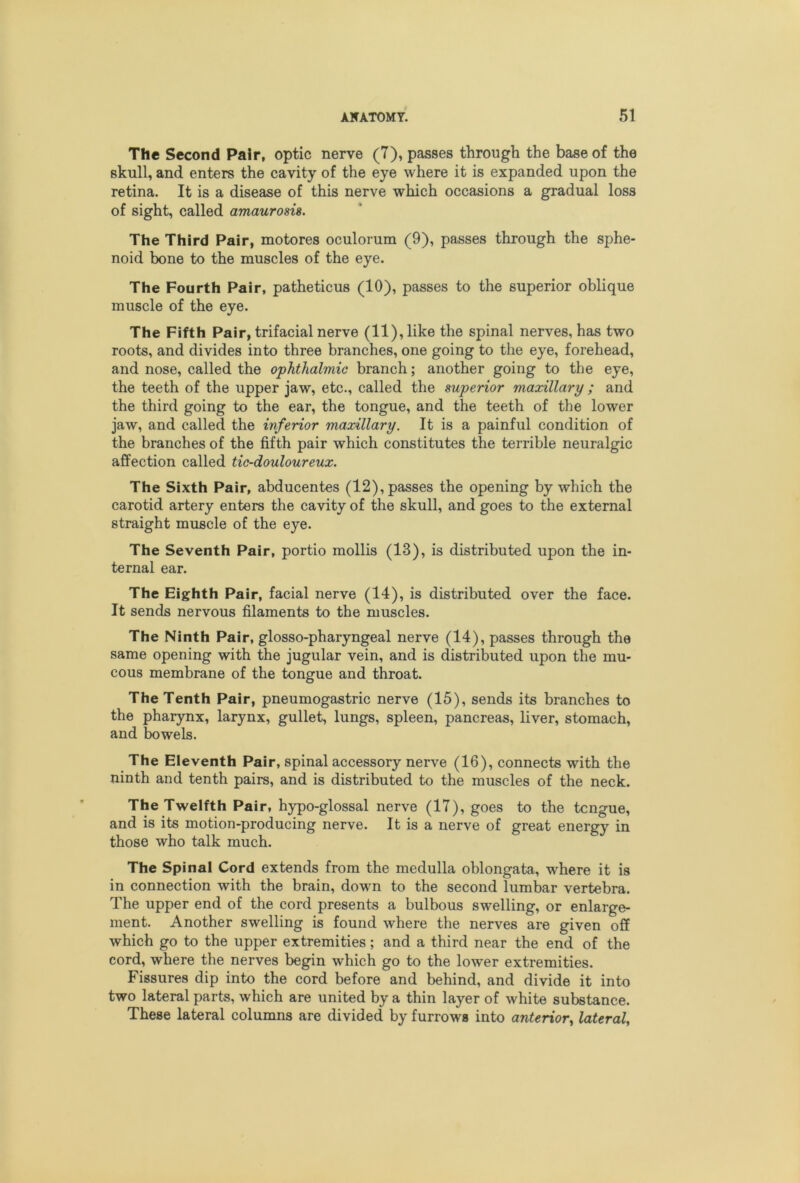 The Second Pair, optic nerve (7), passes through the base of the skull, and enters the cavity of the eye where it is expanded upon the retina. It is a disease of this nerve which occasions a gradual loss of sight, called amaurosis. The Third Pair, motores oculorum (9), passes through the sphe- noid bone to the muscles of the eye. The Fourth Pair, patheticus (10), passes to the superior oblique muscle of the eye. The Fifth Pair, trifacial nerve (11), like the spinal nerves, has two roots, and divides into three branches, one going to the eye, forehead, and nose, called the ophthalmic branch; another going to the eye, the teeth of the upper jaw, etc., called the superior maxillary ; and the third going to the ear, the tongue, and the teeth of the lower jaw, and called the inferior maxillary. It is a painful condition of the branches of the fifth pair which constitutes the terrible neuralgic affection called tic-douloureux. The Sixth Pair, abducentes (12), passes the opening by which the carotid artery enters the cavity of the skull, and goes to the external straight muscle of the eye. The Seventh Pair, portio mollis (13), is distributed upon the in- ternal ear. The Eighth Pair, facial nerve (14), is distributed over the face. It sends nervous filaments to the muscles. The Ninth Pair, glosso-pharyngeal nerve (14), passes through the same opening with the jugular vein, and is distributed upon the mu- cous membrane of the tongue and throat. The Tenth Pair, pneumogastric nerve (15), sends its branches to the pharynx, larynx, gullet, lungs, spleen, pancreas, liver, stomach, and bowels. The Eleventh Pair, spinal accessory nerve (16), connects with the ninth and tenth pairs, and is distributed to the muscles of the neck. The Twelfth Pair, hypo-glossal nerve (17), goes to the tcngue, and is its motion-producing nerve. It is a nerve of great energy in those who talk much. The Spinal Cord extends from the medulla oblongata, where it is in connection with the brain, down to the second lumbar vertebra. The upper end of the cord presents a bulbous swelling, or enlarge- ment. Another swelling is found where the nerves are given off which go to the upper extremities; and a third near the end of the cord, where the nerves begin which go to the lower extremities. Fissures dip into the cord before and behind, and divide it into two lateral parts, which are united by a thin layer of white substance. These lateral columns are divided by furrows into anterior^ lateral.