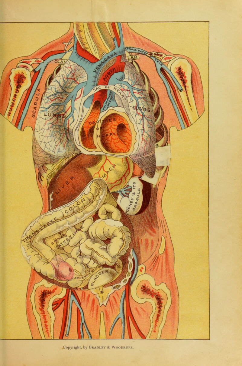 No text description is available for this image