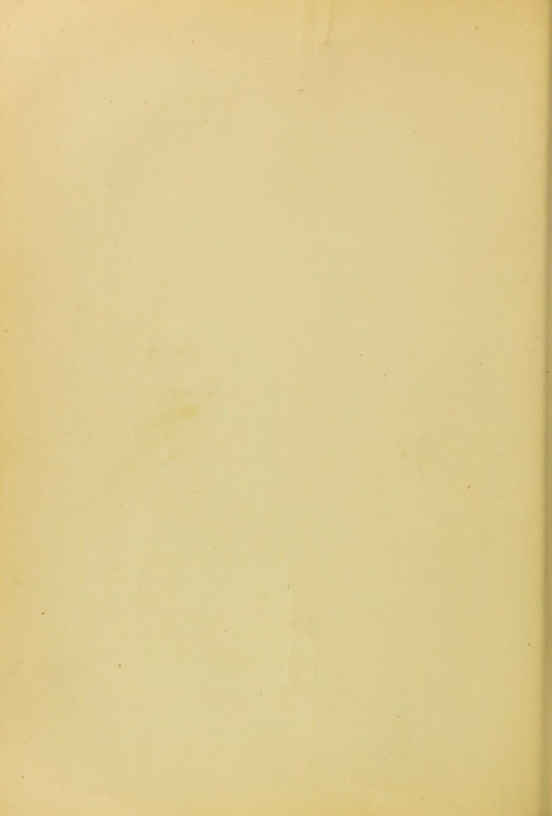 4 1 \ Sfr '•k » \ * »- * ► ^ * 5;!! . I ■ ^*J- * t!i « I ,, i ii^v K > i •w sri Jk » ! /• ‘ i- 03 ..aV, % p I I A. /• As V ^