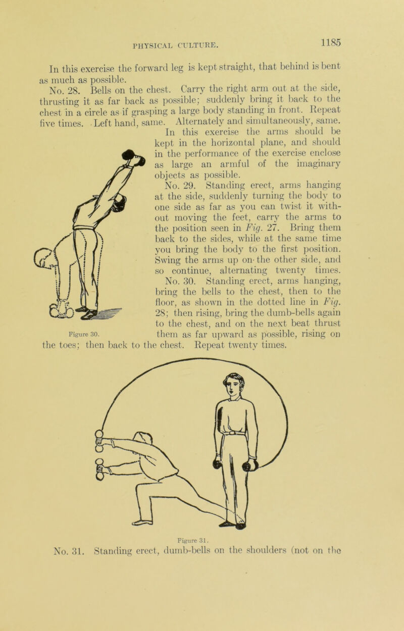 In this exercise the forward leg is kept straight, that behind is bent as much as possible. No. 28. Bells on the chest. Carry the right arm out at the side, thrusting it as far back as possible; suddenly bring it back to the chest in a circle as if grasping a large body standing in front. Repeat five times. Left hand, same. Alternately and simultaneously, same. In this exercise the arms should be kept in the horizontal plane, and should in the performance of the exercise enclose as large an armful of the imaginary objects as possible. No. 29. Standing erect, arms hanging at the side, suddenly turning the body to one side as far as you can twist it with- out moving the feet, carry the arms to the position seen in Fig. 27. Bring them back to the sides, while at the same time you bring the body to the first position. Swing the arms up on- the other side, and so continue, alternating twenty times. No. 30. Standing erect, arms hanging, bring the bells to the chest, then to the floor, as shown in the dotted line in Fig. 28; then rising, bring the dumb-bells again to the chest, and on the next beat thrust them as far upward as possible, rising on the toes; then back to the chest. Repeat twenty times. No. 31. Standing erect, dumb-bells on the shoulders (not on the