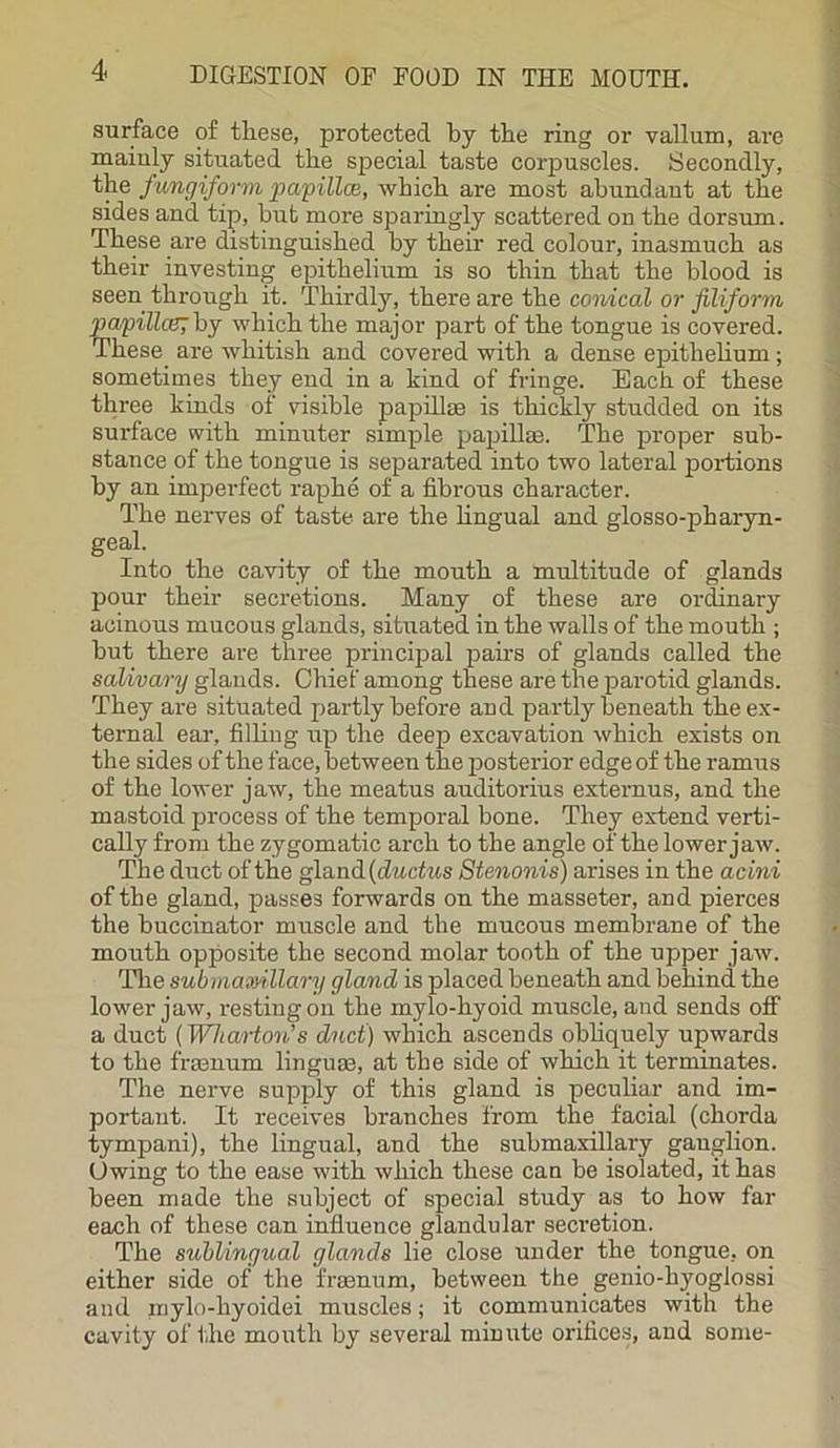 surface of these, protected by the ring or vallum, are mainly situated the special taste corpuscles. Secondly, the fungiform papillce, which are most abundant at the sides and tip, but more sparingly scattered on the dorsum. These are distinguished by their red colour, inasmuch as their investing epithelium is so thin that the blood is seen through it. Thirdly, there are the conical or filiform papillcs;by which the major part of the tongue is covered. These are whitish and covered with a dense epithelium; sometimes they end in a kind of fringe. Each of these three kinds of visible papillae is thickly studded on its surface with minuter simple papillae. The proper sub- stance of the tongue is separated into two lateral portions by an imperfect raphe of a fibrous character. The nerves of taste are the lingual and glosso-pharyn- geal. Into the cavity of the mouth a multitude of glands pour their secretions. Many of these are ordinary acinous mucous glands, situated in the walls of the mouth ; but there are three principal pahs of glands called the salivary glands. Chief among these are the parotid glands. They are situated partly before and partly beneath the ex- ternal ear, filling up the deep excavation which exists on the sides of the face, between the posterior edge of the ramus of the lower jaw, the meatus auditorius externus, and the mastoid process of the temporal bone. They extend verti- cally from the zygomatic arch to the angle of the lower jaw. The duct of the gland [ductus Stenonis) arises in the acini of the gland, passes forwards on the masseter, and pierces the buccinator muscle and the mucous membrane of the mouth opposite the second molar tooth of the upper jaw. The submamllary gland is placed beneath and behind the lower jaw, resting on the mylo-hyoid muscle, and sends off a duct (Wharton’s duct) which ascends obliquely upwards to the fraenum linguae, at the side of which it terminates. The nerve supply of this gland is peculiar and im- portant. It receives branches from the facial (chorda tympani), the lingual, and the submaxillary ganglion. Owing to the ease with which these can be isolated, it has been made the subject of special study as to how far each of these can influence glandular secretion. The sublingual glands lie close under the tongue, on either side of the frsenum, between the genio-hyoglossi and mylo-hyoidei muscles; it communicates with the cavity of the mouth by several minute orifices, and some-