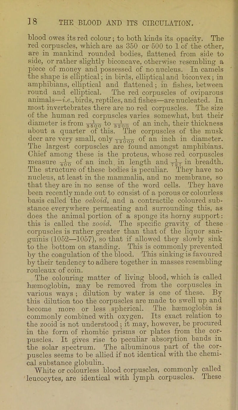 blood owes its red colour; to both kinds its opacity. The red corpuscles, which are as 350 or 500 to 1 of the other, are in mankind rounded bodies, flattened from side to side, or rather slightly biconcave, otherwise resembling a piece of money and possessed of no nucleus. In camels the shape is elliptical; in birds, elliptical and biconvex; in amphibians, elliptical and flattened; in fishes, between round and elliptical. The red corpuscles of oviparous animals—i.e., birds, reptiles, and fishes—are nucleated. In most invertebrates there are no red corpuscles. The size of the human red corpuscles varies somewhat, but their diameter is from 3^ to 3^ of an inch, their thickness about a quarter of this. The corpuscles of the musk deer are very small, only of an inch in diameter. The largest corpuscles are found amongst amphibians. Chief among these is the proteus, whose red corpuscles measure of an inch, in length and ytt in breadth. The structure of these bodies is peculiar. They have no nucleus, at least in the mammalia, and no membrane, so that they are in no sense of the word cells. They have been recently made out to consist of a porous or colourless basis called the oelcoid, and a contractile coloured sub- stance everywhere permeating and surrounding this, as does the animal portion of a sponge its horny support: this is called the zooid. The specific gravity of these corpuscles is rather greater than that of the liquor san- guinis (1052—1057), so that if allowed they slowly sink to the bottom on standing. This is commonly prevented by the coagulation of the blood. This sinking is favoured by their tendency to adhere together in masses resembling rouleaux of coin. The colouring matter of living blood, which is called haemoglobin, may be removed from the corpuscles in various ways ; dilution by water is one of these. By this dilution too the corpuscles are made to swell up and become more or less spherical. The haemoglobin is commonly combined with oxygen. Its exact relation to the zooid is not understood; it may, however, be procured in the form of rhombic prisms or plates from the cor- puscles. It gives rise to peculiar absorption bands in the solar spectrum. The albuminous part of the cor- puscles seems to be allied if not identical with the chemi- cal substance globulin. White or colourless blood corpuscles, commonly called leucocytes, are identical with lymph corpuscles. These
