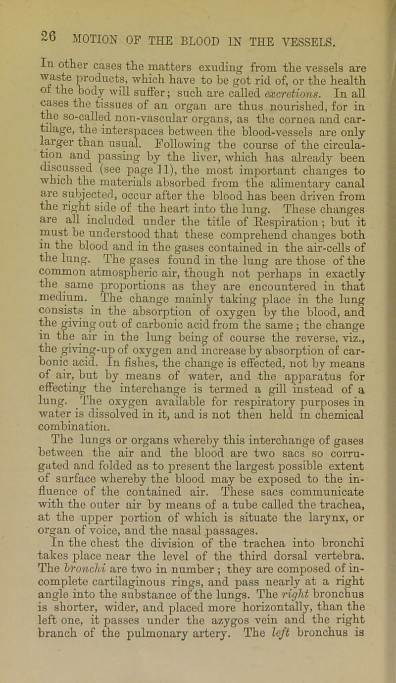 In other cases the matters exuding from the vessels are waste products, which have to be got rid of, or the health oi the body will suffer; such are called excretions. In all cases the tissues of an organ are thus nourished, for in the so-called non-vascular organs, as the cornea and car- tilage, the interspaces between the blood-vessels are only larger than usual. Following the course of the circula- tion and passing by the liver, which has already been discussed (see page 11), the most important changes to which the materials absorbed from the alimentary canal are subjected, occur after the blood has been driven from the right side of the heart into the lung. These changes are all included under the title of Respiration; but it must be understood that these comprehend changes both in the blood and in the gases contained in the air-cells of the lung. The gases found in the lung are those of the common atmospheric ah', though not perhaps in exactly the same proportions as they are encountered in that medium. The change mainly taking place in the lung consists in the absorption of oxygen by the blood, and the giving out of carbonic acid from the same ; the change in the air in the lung being of course the reverse, viz., the giving-up of oxygen and increase by absorption of car- bonic acid. In fishes, the change is effected, not by means of air, but by means of water, and the apparatus for effecting the interchange is termed a gill instead of a lung. The oxygen available for respiratory purposes in water is dissolved in it, and is not then held in chemical combination. The lungs or organs whereby this interchange of gases between the air and the blood are two sacs so corru- gated and folded as to present the largest possible extent of surface whereby the blood may be exposed to the in- fluence of the contained air. These sacs communicate with the outer air by means of a tube called the trachea, at the upper portion of which is situate the larynx, or organ of voice, and the nasal passages. In the chest the division of the trachea into bronchi takes place near the level of the third dorsal vertebra. The bronchi are two in number ; they are composed of in- complete cartilaginous rings, and pass nearly at a right angle into the substance of the lungs. The r ight bronchus is shorter, wider, and placed more horizontally, than the left one, it passes under the azygos vein and the right branch of the pulmonary artery. The left bronchus is