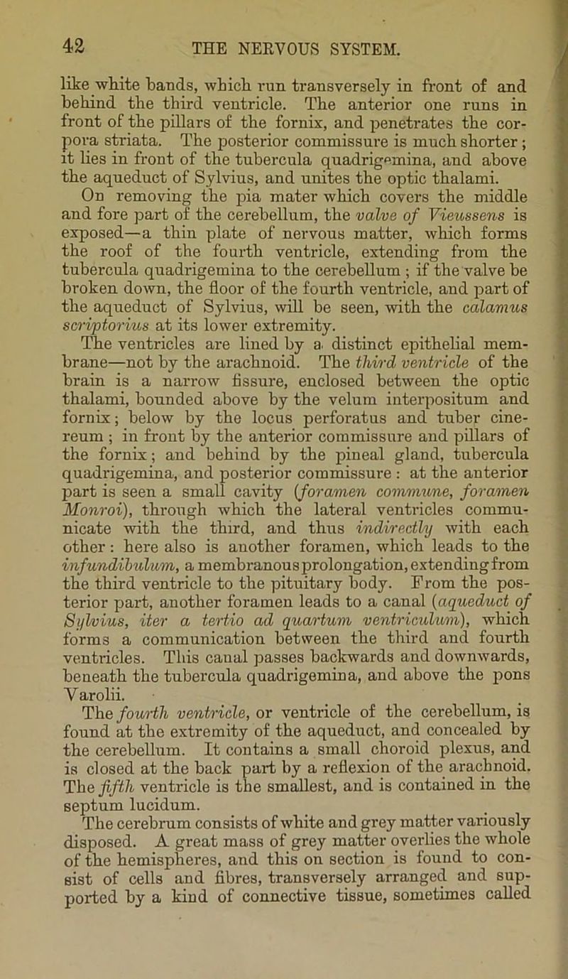 like white bands, which run transversely in front of and behind the third ventricle. The anterior one runs in front of the pillars of the fornix, and penetrates the cor- pora striata. The posterior commissure is much shorter; it lies in front of the tubercula quadrigemina, and above the aqueduct of Sylvius, and unites the optic thalami. On removing the pia mater which covers the middle and fore part of the cerebellum, the valve of Vieussens is exposed—a thin plate of nervous matter, which forms the roof of the fourth ventricle, extending from the tubercula quadrigemina to the cerebellum ; if the valve be broken down, the floor of the fourth ventricle, and part of the aqueduct of Sylvius, will be seen, with the calamus scriptorius at its lower extremity. The ventricles are lined by a. distinct epithelial mem- brane—not by the arachnoid. The third ventricle of the brain is a narrow fissure, enclosed between the optic thalami, bounded above by the velum interpositum and fornix; below by the locus perforatus and tuber cine- reum ; in front by the anterior commissure and pillars of the fornix; and behind by the pineal gland, tubercula quadrigemina, and posterior commissure : at the anterior part is seen a small cavity (foramen commune, foramen Monroi), through which the lateral ventricles commu- nicate with the third, and thus indirectly with each other: here also is another foramen, which leads to the infundibulum, a membranous prolongation, extending from the third ventricle to the pituitary body. From the pos- terior part, another foramen leads to a canal (aqueduct of Sylvius, iter a tertio ad quartum ventriculum), which forms a communication between the third and fourth ventricles. This canal passes backwards and downwards, beneath the tubercula quadrigemina, and above the pons Yarolii. ventricle, or ventricle of the cerebellum, is extremity of the aqueduct, and concealed by the cerebellum. It contains a small choroid plexus, and is closed at the back part by a reflexion of the arachnoid. The fifth ventricle is the smallest, and is contained in the septum lucidum. The cerebrum consists of white and grey matter variously disposed. A great mass of grey matter overlies the whole of the hemispheres, and this on section is found to con- sist of cells and fibres, transversely arranged and sup- ported by a kind of connective tissue, sometimes called The fourth found at the