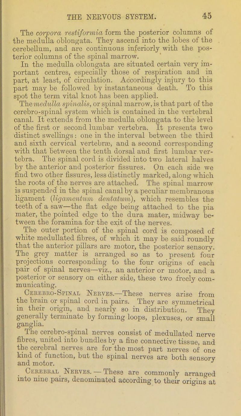 The corpora restiformia form the posterior columns of the medulla oblongata. They ascend into the lobes of the cerebellum, and are continuous interiorly with the pos- terior columns of the spinal marrow. In the medulla oblongata are situated certain very im- portant centres, especially those of respiration and in part, at least, of circulation. Accordingly injury to this part may be followed by instantaneous death. To this spot the term vital knot has been applied. The medulla spinalis, or spinal marrow, is that part of the cerebro-spinal system which is contained in the vertebral canal. It extends from the medulla oblongata to the level of the first or second lumbar vertebra. It presents two distinct swellings: one in the interval between the third and sixth cervical vertebra, and a second corresponding with that between the tenth dorsal and first lumbar ver- tebra. The spinal cord is divided into two lateral halves by the anterior and posterior fissures. On each side we find two other fissures, less distinctly marked, along which the roots of the nerves are attached. The spinal marrow is suspended in the spinal canal by a peculiar membranous ligament (ligamentum> dentatum), which resembles the teeth of a saw—the flat edge being attached to the pia mater, the pointed edge to the dura mater, midway be- tween the foramina for the exit of the nerves. The outer portion of the spinal cord is composed of white medullated fibres, of which it may be said roundly that the anterior pillars are motor, the posterior sensory. The grey matter is arranged so as to present four projections corresponding to the four origins of each pair of spinal nerves—viz., an anterior or motor, and a posterior or sensory on either side, these two freely com- municating. Cerebro-Spinal Nerves.—These nerves arise from the brain or spinal cord in pairs. They are symmetrical in their origin, and nearly so in distribution. They generally terminate by forming loops, plexuses, or small e cerebro-spinal nerves consist of medullated nerve fibres, united into bundles by a fine connective tissue, and the cerebral nerves are for the most part nerves of one kind of function, but the spinal nerves are both sensory and motor. J Cerebral Nerves. — These are commonly arranged into nine pairs, denominated according to their origins at ;lia.