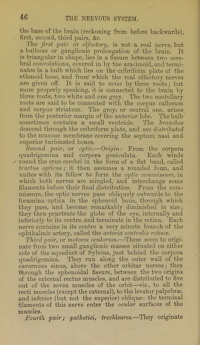 the base of the brain (reckoning from before backwards), first, second, third pairs, &c. The first pair or olfactory, is not a real nerve, but a bulbous or ganglionic prolongation of the brain. It is triangular in shape, lies in a fissure between two cere- bral convolutions, covered in by the arachnoid, and termi- nates in a bulb which lies on the cribriform plate of the ethmoid bone, and from1 which the real olfactory nerves are given off. It is said to arise by three roots; but more properly speaking, it is connected to the brain by three roots, two white and one grey. The two medullary roots are said to be connected with the corpus callosum and corpus striatum. The grey, or central one, arises from the posterior mai'gin of the anterior lobe. The bulb sometimes contains a small ventricle. The branches descend through the cribriform plate, and are distributed to the mucous membrane covering the septum nasi and superior turbinated bones. Second pair, or optic.—Origin: From tbe corpora quadrigemina and corpora geniculata. Each winds / round the crus cerebri in the form of a flat band, called tractus opticus; it then assumes a rounded form, and unites with its fellow to form the optic commissure, in which both nerves are mingled, and interchange some filaments before their final distribution. From the com- missure, the optic nerves pass obliquely outwards to the foramina optica in the sphenoid bone, through which they pass, and become remarkably diminished in size; they then penetrate the globe of the eye, internally and interiorly to its centre, and terminate in the retina. Each nerve contains in its centre a very minute branch of the ophthalmic artery, called the a/rteria centralis retinae. Third pair, or motores oculorum.—These seem to origi- nate from two small ganglionic masses situated on either side of the aqueduct of Sylvius, just behind the corpora quadrigemina. They run along the outer wall of the cavernous sinus, above the other orbitar nerves; then through the sphenoidal fissure, between the two origins of the external rectus muscles, and are distributed to five out of the seven muscles of the orbit—viz., to all the recti muscles (except the external), to the levator palpebrse, and inferior (but not the superior) oblique: the terminal filaments of this nerve enter the ocular surfaces of the muscles. Fourth pair; pathetici, troclileares.—They originate