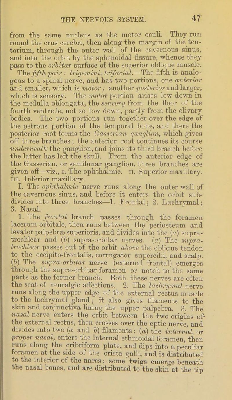 from the same nucleus as the motor oculi. They run round the crus cerebri, then along the margin of the ten- torium, through the outer wall of the cavernous sinus, and into the orbit by the sphenoidal fissure, whence they pass to the orbitar surface of the superior oblique muscle. The fifth pair: trigemini, trifacial.—The fifth is analo- gous to a spinal nerve, and has two portions, one anterior and smaller, which is motor; another posterior and larger, which is sensory. The motor portion arises low down in the medulla oblongata, the sensory from the floor of the fourth ventricle, not so low down, partly from the olivary bodies. The two portions run together over the edge of the petrous portion of the temporal bone, and there the posterior root forms the Gasserian ganglion, which gives off three branches ; the anterior root continues its course underneath the ganglion, and joins its third branch before the latter has left the skull. From the anterior edge of the Gasserian, or semilunar ganglion, three branches are given off—viz., i. The ophthalmic, n. Superior maxillary, ill. Inferior maxillary. I. The ophthalmic nerve runs along the outer wall of the cavernous sinus, and before it enters the orbit sub- divides into three branches—1. Frontal; 2. Lachrymal; 3. Nasal. 1. The frontal branch passes through the foramen lacerum orbitale, then runs between the periosteum and levator palpebrse superioris, and divides into the (a) supra- trochlear and (b) supra-orbitar nerves, (a) The supra- trochlear passes out of the orbit above the oblique tendon to the occipito-frontalis, corrugator supercilii, and scalp. (b) The supra-orbitar nerve (external frontal) emerges through the supra-orbitar foramen or notch to the same parts as the former branch. Both these nerves are often the seat of neuralgic affections. 2. The lachrymal nerve runs along the upper edge of the external rectus muscle to the lachrymal gland; it also gives filaments to the skin and conjunctiva lining the upper palpebra. 3. The nasal nerve enters the orbit between the two origins of* the external rectus, then crosses over the optic nerve, and divides into two (a and b) filaments : (a) the internal, or proper nasal, enters the internal ethmoidal foramen, then runs along the cribriform plate, and dips into a peculiar foramen at the side of the crista galli, and is distributed to the interior of the nares ; some twigs emerge beneath the nasal bones, and are distributed to the skin at the tip