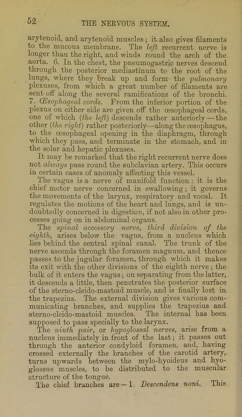 arytenoid, and arytenoid muscles; it also gives filaments to the mucous membrane. The left recurrent nerve is longer than the right, and winds round the arch of the aorta. 6. In the chest, the pneumogastric nerves descend through the posterior mediastinum to the root of the lungs, where they break up and form the 'pulmonary plexuses, from which a great number of filaments are sent off along the several ramifications of the bronchi. 7. (Esophageal cords. From the inferior portion of the plexus on either side are given off the oesophageal cords, one of which (the left) descends rather anteriorly — the other (the right) rather posteriorly—along the oesophagus, to the oesophageal opening in the diaphragm, through which they pass, and terminate in the stomach, and in the solar and hepatic plexuses. It may be remarked that the right recurrent nerve does not always pass round the subclavian artery. This occurs in certain cases of anomaly affecting this vessel. The vagus is a nerve of manifold function : it is the chief motor nerve concerned in swallowing; it governs the movements of the larynx, respiratory and vocal. It regulates the motions of the heart and lungs, and is un- doubtedly concerned in digestion, if not also in other pro- cesses going on in abdominal oi-gans. The spinal accessory nerve, third division of the eighth, arises below the vagus, from a nucleus which lies behind the central spinal canal. The trunk of the nerve ascends through the foramen magnum, and thence passes to the jugular foramen, through which it makes its exit with the other divisions of the eighth nerve ; the hulk of it enters the vagus; on separating from the latter, it descends a little, then penetrates the posterior surface of the sterno-cleido-mastoid muscle, and is finally lost in the trapezius. The external division gives various com- municating branches, and supplies the trapezius and sterno-cleido-mastoid muscles. The internal has been supposed to pass specially to the larynx. The ninth pair, or hypoglossal nerves, arise from a nucleus immediately in front of the last; it passes out through the anterior condyloid foramen, and, having crossed externally the branches of the carotid artery, turns upwards between the mylo-liyoideus and hyo- glossus muscles, to he distributed to the muscular structure of the tongue. The chief branches are — 1 Descendens noni. This