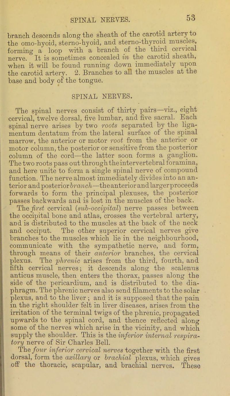 branch, descends along the sheath of the carotid artery to the omo-hyoid, stemo-hyoid, and sterno-thyroid muscles, forming a loop with a branch of the third cervical nerve. It is sometimes concealed in the carotid sheath, when it will be found running down immediately upon the carotid artery. 2. Branches to all the muscles at the base and body of the tongue. SPINAL NEEYES, The spinal nerves consist of thirty pairs—viz., eight cervical, twelve dorsal, five lumbar, and five sacral. Each spinal nerve arises by two roots separated by the liga- mentum dentatum from the lateral surface of the spinal marrow, the anterior or motor root from the anterior or motor column, the posterior or sensitive from the posterior column of the cord—the latter soon forms a ganglion. The two roots pass out through the intervertebral foramina, and here unite to form a single spinal nerve of compound function. The nerve almost immediately divides into an an- terior and posterior branch —the anterior and larger proceeds forwards to form the principal plexuses, the posterior passes backwards and is lost in the muscles of the back. The first cervical (sub-occipital) nerve passes between the occipital bone and atlas, crosses the vertebral artery, and is distributed to the muscles at the back of the neck and occiput. The other superior cervical nerves give branches to the muscles which lie in the neighbourhood, communicate with the sympathetic nerve, and form, through means of their anterior branches, the cervical plexus. The phrenic arises from the third, fourth, and fifth cervical nerves; it descends along the scalenus anticus muscle, then enters the thorax, passes along the side of the pericardium, and is distributed to the dia- phragm. The phrenic nerves also send filaments to the solar plexus, and to the liver ; and it is supposed that the pain in the right shoulder felt in liver diseases, arises from the irritation of the terminal twigs of the phrenic, propagated upwards to the spinal cord, and thence reflected along some of the nerves which arise in the vicinity, and which supply the shoulder. This is the imfenor internal respira- tory nerve of Sir Charles Bell. The four inferior cervical nerves together with the first dorsal, form the axillary or brachial plexus, which gives off the thoracic, scapular, and brachial nerves. These