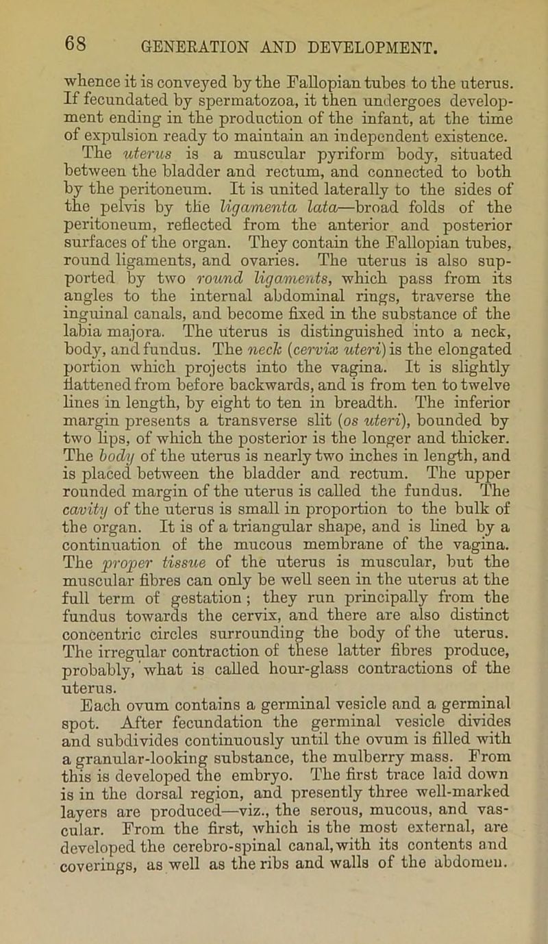 whence it is conveyed by the Fallopian tubes to the uterus. If fecundated by spermatozoa, it then undergoes develop- ment ending in the production of the infant, at the time of expulsion ready to maintain an independent existence. The uterus is a muscular pyriform body, situated between the bladder and rectum, and connected to both by the peritoneum. It is united laterally to the sides of the pelvis by the ligamentu lata—broad folds of the peritoneum, reflected from the anterior and posterior surfaces of the organ. They contain the Fallopian tubes, round ligaments, and ovaries. The uterus is also sup- ported by two round ligaments, which pass from its angles to the internal abdominal rings, traverse the inguinal canals, and become fixed in the substance of the labia majora. The uterus is distinguished into a neck, body, and fundus. The neck (cervix uteri) is the elongated portion which projects into the vagina. It is slightly flattened from before backwards, and is from ten to twelve lines in length, by eight to ten in breadth. The inferior margin presents a transverse slit (os uteri), bounded by two lips, of which the posterior is the longer and thicker. The body of the uterus is nearly two inches in length, and is placed between the bladder and rectum. The upper rounded margin of the uterus is called the fundus. The cavity of the uterus is small in proportion to the bulk of the organ. It is of a triangular shape, and is lined by a continuation of the mucous membrane of the vagina. The ■proper tissue of the uterus is muscular, but the muscular fibres can only be well seen in the uterus at the full term of gestation ; they run principally from the fundus towards the cervix, and there are also distinct concentric circles surrounding the body of the uterus. The irregular contraction of these latter fibres produce, probably, what is called hour-glass contractions of the uterus. Each ovum contains a germinal vesicle and a germinal spot. After fecundation the germinal vesicle divides and subdivides continuously until the ovum is filled with a granular-looking substance, the mulberry mass. From this is developed the embryo. The first trace laid down is in the dorsal region, and presently three well-marked layers are produced—viz., the serous, mucous, and vas- cular. From the first, which is the most external, are developed the cerebro-spinal canal, with its contents and coverings, as well as the ribs and walls of the abdomen.