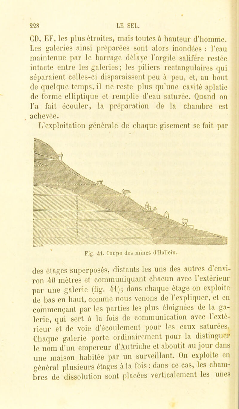 CD, EF, les plus étroites, mais toutes à hauteur d’homme. Les galeries ainsi préparées sont alors inondées : l’eau maintenue par le barrage délaye l'argile salifère restée intacte entre les galeries; les piliers rectangulaires qui séparaient celles-ci disparaissent peu à peu, et, au bout de quelque temps, il ne reste plus qu’une cavité aplatie de forme elliptique et remplie d’eau saturée. Quand on l’a fait écouler, la préparation de la chambre est achevée. L’exploitation générale de chaque gisement se fait par Fig. 41. Coupe des mines d’ilallein. des étages superposés, distants les uns des autres d’envi- ron 40 mètres et communiquant chacun avec l’extérieur par une galerie (fig. 41); dans chaque étage on exploite de bas en haut, comme nous venons de l’expliquer, et en commençant par les parties les plus éloignées de la ga- lerie, qui sert tà la fois de communication avec l’exté- rieur et de voie d’écoulement pour les eaux saturées. Chaque galerie porte ordinairement pour la distinguer le nom d’un empereur d’Autriche et aboutit au jour dans une maison habitée par un surveillant. On exploite en général plusieurs étages à la fois : dans ce cas, les cham- bres de dissolution sont placées verticalement les unes