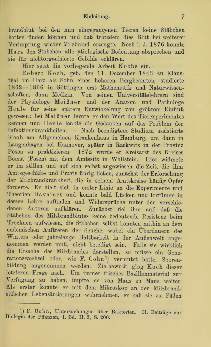 brandblut bei den nun eingegangenen Tieren keine Stäbchen hatten finden können und daß trotzdem dies Blut bei weiterer Verimpfung wieder Milzbrand erzeugte. Noch i. J. 1876 konnte Harz den Stäbchen alle ätiologische Bedeutung absprechen und sie für nichtorganisierte Gebilde erklären. Hier setzt die vorliegende Arbeit Kochs ein. Robert Koch, geb. den 11. Dezember 1843 zu Klaus- thal im Harz als Sohn eines höheren Bergbeamten, studierte 1862 — 1866 in Göttingen erst Mathematik und Naturwissen- schaften, dann Medizin. Von seinen Universitätslehrern sind der Physiologe Meißner und der Anatom und Pathologe He nie für seine spätere Entwickelung von größtem Einfluß gewesen: bei Meißner lernte er den Wert des Tierexperimentes kennen und Henle lenkte die Gedanken auf das Problem der Infektionskrankheiten. — Nach beendigtem Studium assistierte Koch am Allgemeinen Krankenhaus in Hamburg, um dann in Langenhagen bei Hannover, später in Rackwitz in der Provinz Posen zu praktizieren. 1872 wurde er Kreisarzt des Kreises Bomst (Posen) mit dem Amtssitz in Wollstein. Hier widmete er im stillen und auf sich selbst angewiesen die Zeit, die ihm Amtsgeschäfte und Praxis übrig ließen, zunächst der Erforschung der Milzbrandkrankheit, die in seinem Amtskreise häufig Opfer forderte. Er hielt sich in erster Linie an die Experimente und Theorien Davaines und konnte bald Lücken und Irrtümer in dessen Lehre auffinden und Widersprüche unter den verschie- denen Autoren aufklären. Zunächst fiel ihm auf, daß die Stäbchen des Milzbrandblutes keine bedeutende Resistenz beim Trocknen aufwiesen, die Stäbchen selbst konnten mithin an dem endemischen Auftreten der Seuche, wobei ein Überdauern des Winters oder jahrelange Haltbarkeit in der Außenwelt ange- nommen werden muß, nicht beteiligt sein. Falls sie wirklich die Ursache des Milzbrandes darstellen, so müsse ein Gene- rationswechsel oder, wie F. Cohn^) vermutet hatte, Sporen- bildung angenommen werden. Zielbewußt ging Koch dieser letzteren Frage nach. Um immer frisches Bazillenmaterial zur ^ erfügung zu haben, impfte er von Maus zu Maus weiter. Als erster konnte er mit dem Mikroskop an den Milzbrand- stäbchen Lebensäußerungen wahrnehmen, er sah sie zu Fäden 1) F. Cohn, Untersuchungen über Bakterien. II. Beiträge zur Biologie der Pflanzen, I. Bd. H. 3, S. 200.