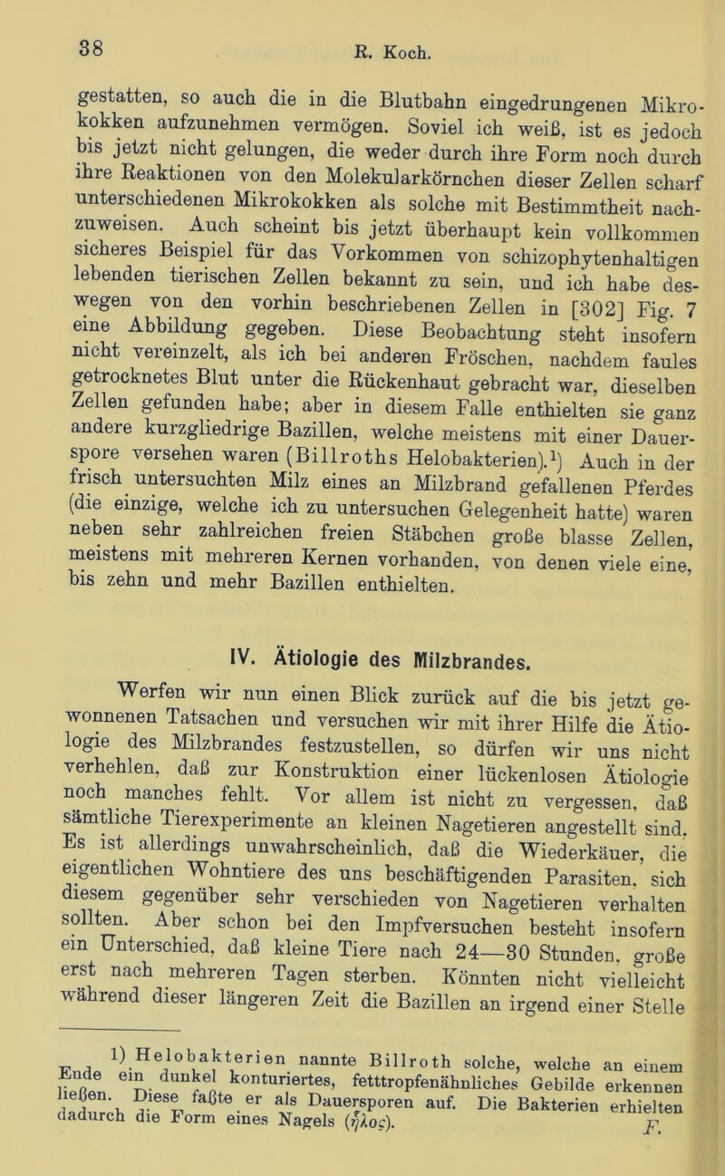 gestatten, so auch die in die Blutbahn eingedrungenen Mikro- kokken aufzunehmen vermögen. Soviel ich weiß, ist es jedoch bis jetzt nicht gelungen, die weder durch ihre Form noch durch ihre Eeaktionen von den Molekularkörnchen dieser Zellen scharf unterschiedenen Mikrokokken als solche mit Bestimmtheit nach- zuweisen. Auch scheint bis jetzt überhaupt kein vollkommen sicheres Beispiel für das Vorkommen von schizophytonhaltigen lebenden tierischen Zellen bekannt zu sein, und ich habe des- wegen von den vorhin beschriebenen Zellen in [302] Fig. 7 eine Abbildung gegeben. Diese Beobachtung steht insofern nicht vereinzelt, als ich bei anderen Fröschen, nachdem faules getrocknetes Blut unter die Rückenhaut gebracht war, dieselben Zellen gefunden habe; aber in diesem Falle enthielten sie ganz andere kurzgliedrige Bazillen, welche meistens mit einer Dauer- spore versehen waren (Billroths Helobakterien).^) Auch in der frisch untersuchten Milz eines an Milzbrand gefallenen Pferdes (die einzige, welche ich zu untersuchen Gelegenheit hatte) waren neben sehr zahlreichen freien Stäbchen große blasse Zellen, naeistens mit mehreren Kernen vorhanden, von denen viele eine, bis zehn und mehr Bazillen enthielten. IV. Ätiologie des Milzbrandes. Werfen wir nun einen Blick zurück auf die bis jetzt ge- wonnenen Tatsachen und versuchen wir mit ihrer Hilfe die Ätio- logie des Milzbrandes festzustellen, so dürfen wir uns nicht verhehlen, daß zur Konstruktion einer lückenlosen Ätiolooie noch manches fehlt. Vor allem ist nicht zu vergessen, d'aß sämtliche Tierexperimente an kleinen Nagetieren angestellt sind. Es ist^ allerdings unwahrscheinhch, daß die Wiederkäuer, die eigentlichen Wohntiere des uns beschäftigenden Parasiten, sich diesem gegenüber sehr verschieden von Nagetieren verhalten sollten. Aber schon bei den Impfversuchen besteht insofern ein Unterschied, daß kleine Tiere nach 24—30 Stunden, große erst nach mehreren Tagen sterben. Könnten nicht vielleicht während dieser längeren Zeit die Bazillen an irgend einer Stelle 1) Helobakterien nannte Billroth solche, welche an einem lipfiln konturiertes, fetttropfenähnliches Gebilde erkennen Dauersporen auf. Die Bakterien erhielten dadurch die Form eines Nabels (lyAoc). jr