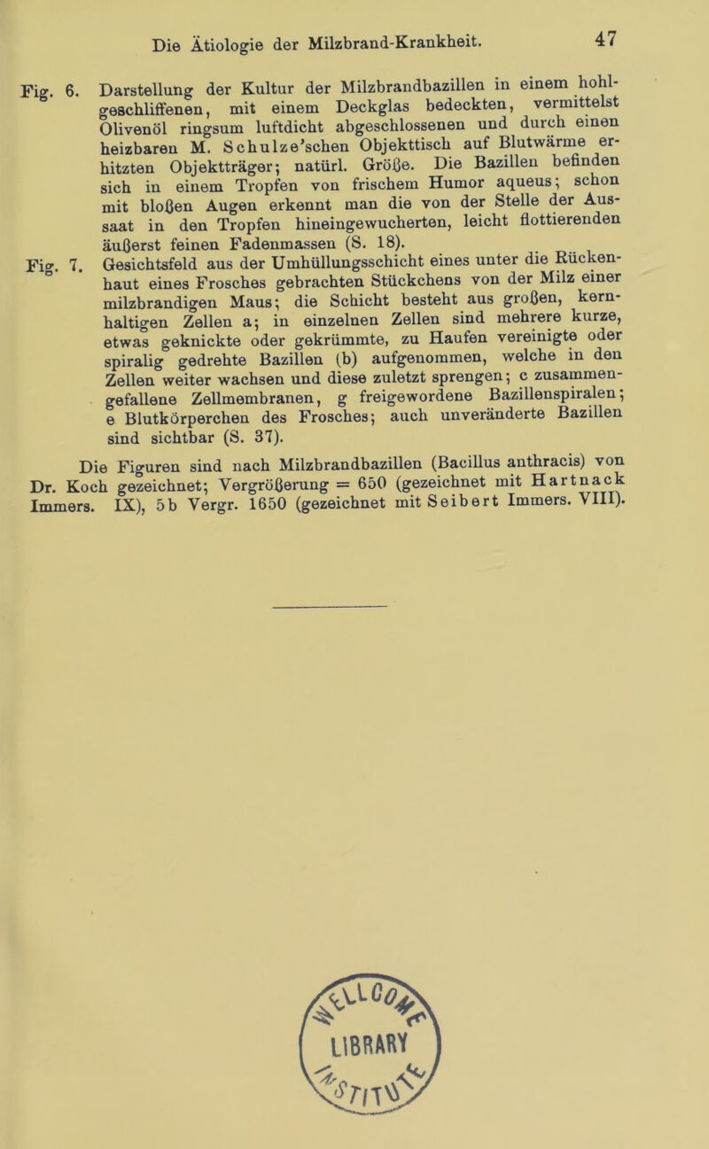 Fig. 6. Darstellung der Kultur der Milzbrandbazillen in einem hohl- geschliffenen, mit einem Deckglas bedeckten, vermittelst Olivenöl ringsum luftdicht abgeschlossenen und durch einen heizbaren M. Schulze’schen Objekttisch auf Blutwärme er- hitzten Objektträger; natürl. Größe. Die Bazillen befinden sich in einem Tropfen von frischem Humor aqueus; schon mit bloßen Augen erkennt man die von der Stelle der Aus- saat in den Tropfen hineingewucherten, leicht flottierenden äußerst feinen Fadenmassen (S. 18). Fio'. 7. Gesichtsfeld aus der Umhüllungsschicht eines unter die Rücken- haut eines Frosches gebrachten Stückchens von der Milz einer milzbrandigen Maus; die Schicht besteht aus großen, kern- haltigen Zellen a; in einzelnen Zellen sind mehrere kurze, etwas geknickte oder gekrümmte, zu Haufen vereinigte oder spiralig gedrehte Bazillen (b) aufgenommen, welche in den Zellen weiter wachsen und diese zuletzt sprengen; c zusammen- gefallene Zellmembranen, g freigewordene Bazillenspiralen; e Blutkörperchen des Frosches; auch unveränderte Bazillen sind sichtbar (S. 37). Die Figuren sind nach Milzbrandbazillen (Bacillus anthracis) von Dr. Koch gezeichnet; Vergrößerung = 650 (gezeichnet mit Hartnack Immers. IX), 5b Vergr. 1650 (gezeichnet mit Seibert Immers. VIII).