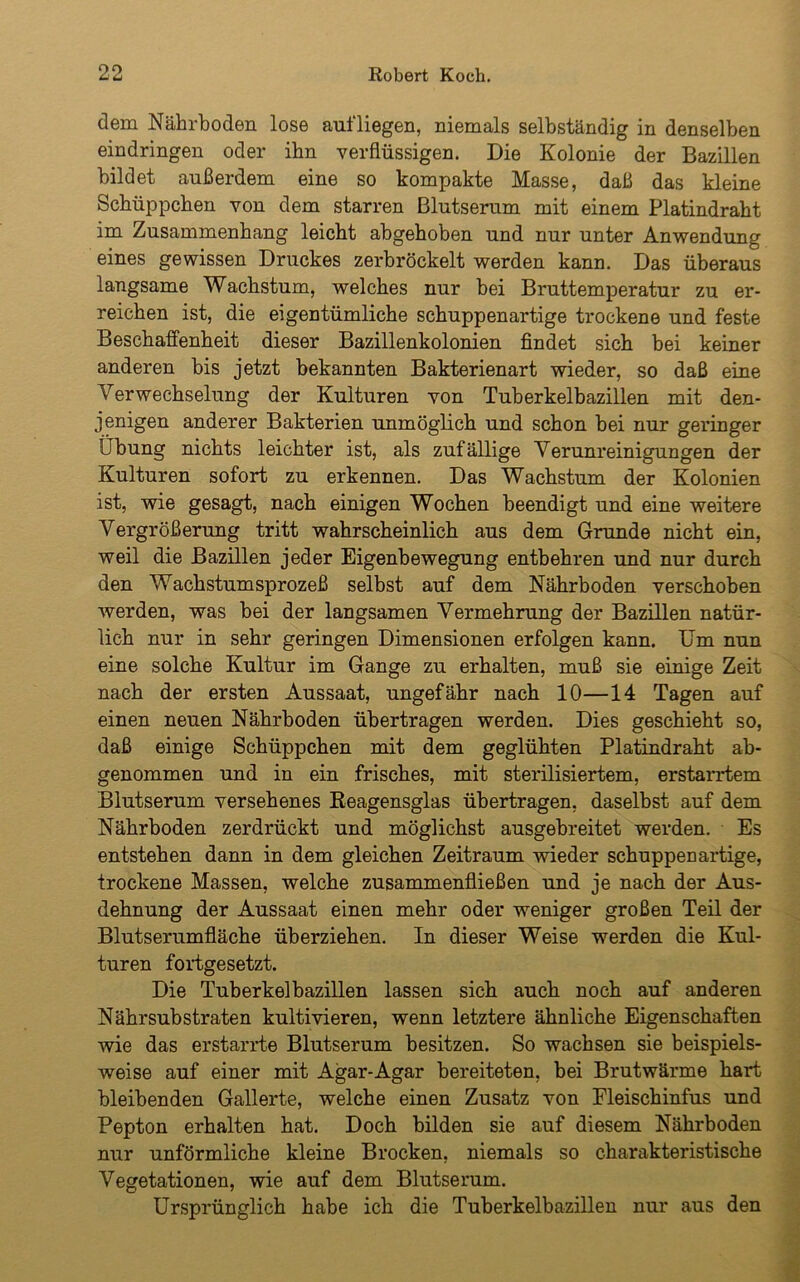 dem Nährboden lose auf liegen, niemals selbständig in denselben eindringen oder ihn verflüssigen. Die Kolonie der Bazillen bildet außerdem eine so kompakte Masse, daß das kleine Schüppchen von dem starren Blutserum mit einem Platindraht im Zusammenhang leicht abgehoben und nur unter Anwendung eines gewissen Druckes zerbröckelt werden kann. Das überaus langsame Wachstum, welches nur bei Bruttemperatur zu er- reichen ist, die eigentümliche schuppenartige trockene und feste Beschaffenheit dieser Bazillenkolonien findet sich bei keiner anderen bis jetzt bekannten Bakterienart wieder, so daß eine Verwechselung der Kulturen von Tuberkelbazillen mit den- jenigen anderer Bakterien unmöglich und schon bei nur geringer Übung nichts leichter ist, als zufällige Verunreinigungen der Kulturen sofort zu erkennen. Das Wachstum der Kolonien ist, wie gesagt, nach einigen Wochen beendigt und eine weitere Vergrößerung tritt wahrscheinlich aus dem Grunde nicht ein, weil die Bazillen jeder Eigenbewegung entbehren und nur durch den Wachstumsprozeß selbst auf dem Nährboden verschoben werden, was bei der langsamen Vermehrung der Bazillen natür- lich nur in sehr geringen Dimensionen erfolgen kann. Um nun eine solche Kultur im Gange zu erhalten, muß sie einige Zeit nach der ersten Aussaat, ungefähr nach 10—14 Tagen auf einen neuen Nährboden übertragen werden. Dies geschieht so, daß einige Schüppchen mit dem geglühten Platindraht ab- genommen und in ein frisches, mit sterilisiertem, erstarrtem Blutserum versehenes Reagensglas übertragen, daselbst auf dem Nährboden zerdrückt und möglichst ausgebreitet werden. Es entstehen dann in dem gleichen Zeitraum wieder schuppen artige, trockene Massen, welche zusammenfließen und je nach der Aus- dehnung der Aussaat einen mehr oder weniger großen Teil der Blutserumfläche überziehen. In dieser Weise werden die Kul- turen fortgesetzt. Die Tuberkelbazillen lassen sich auch noch auf anderen Nährsubstraten kultivieren, wenn letztere ähnliche Eigenschaften wie das erstarrte Blutserum besitzen. So wachsen sie beispiels- weise auf einer mit Agar-Agar bereiteten, bei Brutwärme hart bleibenden Gallerte, welche einen Zusatz von Fleischinfus und Pepton erhalten hat. Doch bilden sie auf diesem Nährboden nur unförmliche kleine Brocken, niemals so charakteristische Vegetationen, wie auf dem Blutserum. Ursprünglich habe ich die Tuberkelbazillen nur aus den