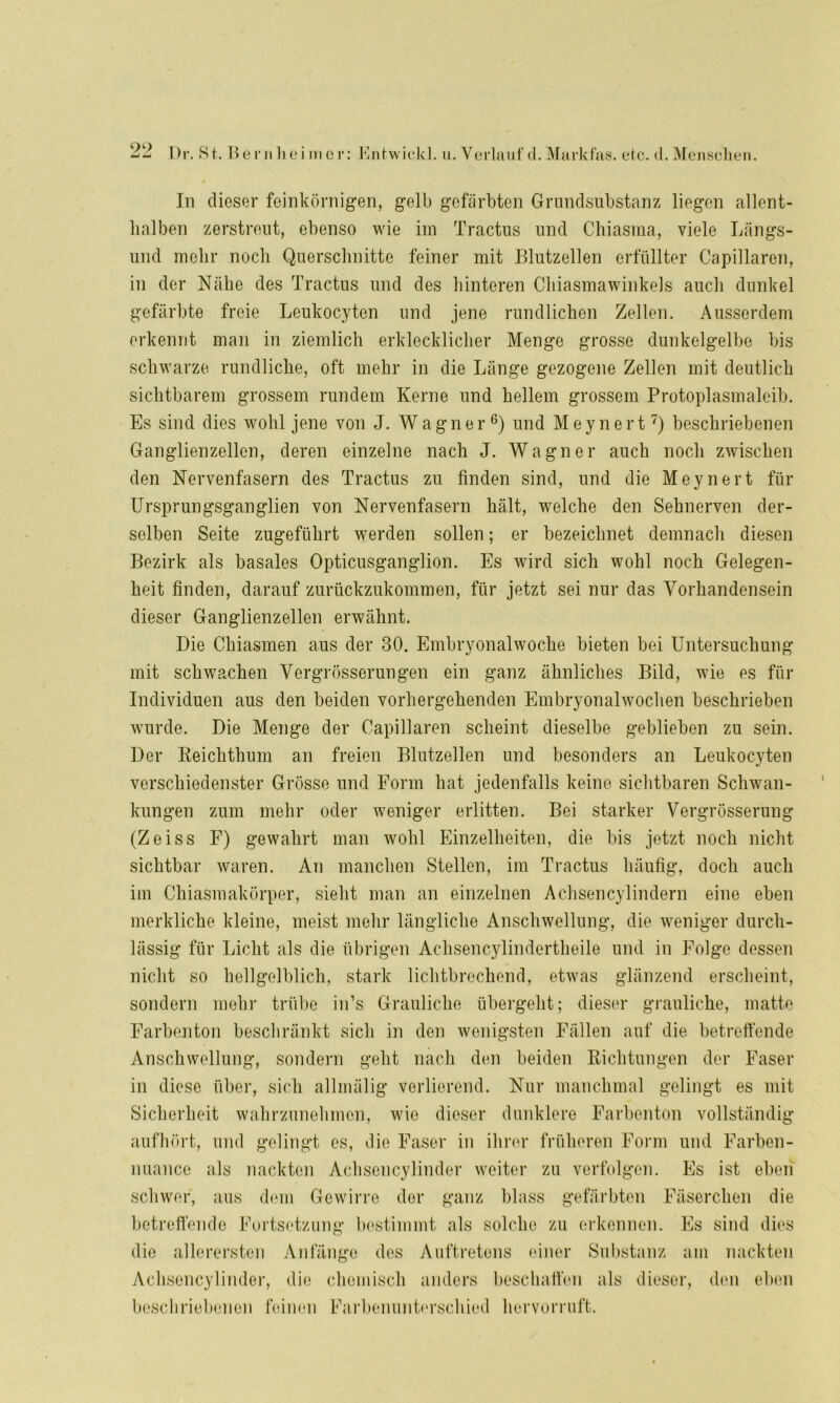 In dieser feinkörnigen, gelb gefärbten Grundsubstanz liegen allent- halben zerstreut, ebenso wie im Tractus und Chiasma, viele Längs- und mehr noch Querschnitte feiner mit Blutzellen erfüllter Capillaren, in der Nähe des Tractus und des hinteren Chiasmawinkels auch dunkel gefärbte freie Leukocyten und jene rundlichen Zellen. Ausserdem erkennt man in ziemlich erklecklicher Menge grosse dunkelgelbe bis schwarze rundliche, oft mehr in die Länge gezogene Zellen mit deutlich sichtbarem grossem rundem Kerne und hellem grossem Protoplasmaleib. Es sind dies wohl jene von J. Wagner6) und Meynert7) beschriebenen Ganglienzellen, deren einzelne nach J. Wagner auch noch zwischen den Nervenfasern des Tractus zu finden sind, und die Meynert für Ursprungsganglien von Nervenfasern hält, welche den Sehnerven der- selben Seite zugeführt werden sollen; er bezeichnet demnach diesen Bezirk als basales Opticusganglion. Es wird sich wohl noch Gelegen- heit finden, darauf zurückzukommen, für jetzt sei nur das Vorhandensein dieser Ganglienzellen erwähnt. Die Chiasmen aus der 30. Embryonalwoche bieten bei Untersuchung mit schwachen Vergrösserungen ein ganz ähnliches Bild, wie es für Individuen aus den beiden vorhergehenden Embryonalwochen beschrieben wurde. Die Menge der Capillaren scheint dieselbe geblieben zu sein. Der Reichthum an freien Blutzellen und besonders an Leukocyten verschiedenster Grösse und Form hat jedenfalls keine sichtbaren Schwan- kungen zum mehr oder weniger erlitten. Bei starker Vergrösserung (Zeiss F) gewahrt man wohl Einzelheiten, die bis jetzt noch nicht sichtbar waren. An manchen Stellen, im Tractus häufig, doch auch im Chiasmakörper, sieht man an einzelnen Achsencylindern eine eben merkliche kleine, meist mehr längliche Anschwellung, die weniger durch- lässig für Licht als die übrigen Achsencylindertheile und in Folge dessen nicht so hellgelblich, stark lichtbrechend, etwas glänzend erscheint, sondern mehr trübe in’s Grauliche übergeht; dieser grauliche, matte Farbenton beschränkt sich in den wenigsten Fällen auf die betreffende Anschwellung, sondern geht nach den beiden Richtungen der Faser in diese über, sich allmälig verlierend. Nur manchmal gelingt es mit Sicherheit wahrzunehmen, wie dieser dunklere Farbenton vollständig aufhört, und gelingt es, die Faser in ihrer früheren Form und Farben- nuance als nackten Achsencylinder weiter zu verfolgen. Es ist eben schwer, aus dem Gewirre der ganz blass gefärbten Fäserchen die betreffende Fortsetzung bestimmt als solche zu erkennen. Es sind dies die allerersten Anfänge des Auftretens einer Substanz am nackten Achsencylinder, die chemisch anders beschaffen als dieser, den eben beschriebenen feinen Farbenunterschied hervorruft.