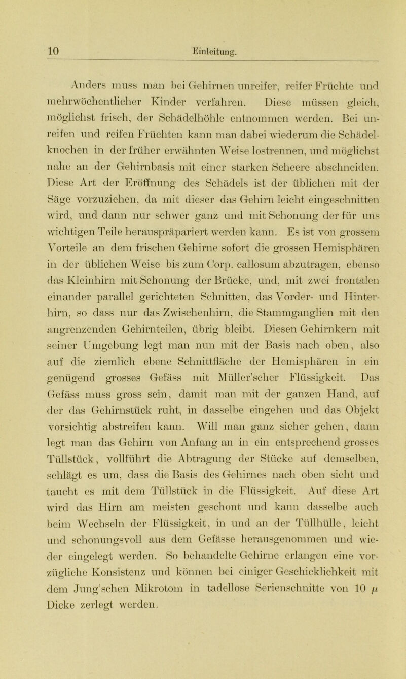 Anders muss man bei Gehirnen unreifer, reif er Früchte und mehrwöchentlicher Kinder verfahren. Diese müssen gleich, möglichst frisch, der Schädelhöhle entnommen werden. Bei un- reifen und reifen Früchten kann man dabei wiederum die Schädel- knochen in der früher erwähnten Weise lostrennen, und möglichst nahe an der Gehirnbasis mit einer starken Scheere abschneiden. Diese Art der Eröffnung des Schädels ist der üblichen mit der Säge vorzuziehen, da mit dieser das Gehirn leicht eingeschnitten wird, und dann nur schwer ganz und mit Schonung der für uns wichtigen Teile herauspräpariert werden kann. Es ist von grossem Vorteile an dem frischen Gehirne sofort die grossen Hemisphären in der üblichen Weise bis zum Corp. callosum abzutragen, ebenso das Kleinhirn mit Schonung der Brücke, und, mit zwei frontalen einander parallel gerichteten Schnitten, das Vorder- und Hinter- hirn, so dass nur das Zwischenhirn, die Stammganglien mit den angrenzenden Gehirnteilen, übrig bleibt. Diesen Gehirnkern mit seiner Umgebung legt man nun mit der Basis nach oben, also auf die ziemlich ebene Schnittfläche der Hemisphären in ein genügend grosses Gefäss mit Müller’scher Flüssigkeit. Das Gefäss muss gross sein, damit man mit der ganzen Hand, auf der das Gehirnstück ruht, in dasselbe eingehen und das Objekt vorsichtig abstreifen kann. Will man ganz sicher gehen, dann legt man das Gehirn von Anfang an in ein entsprechend grosses Tüllstück, vollführt die Abtragung der Stücke auf demselben, schlägt es um, dass die Basis des Gehirnes nach oben sieht und taucht es mit dem Tüllstück in die Flüssigkeit. Auf diese Art wird das Hirn am meisten geschont und kann dasselbe auch beim Wechseln der Flüssigkeit, in und an der Tüllhülle, leicht und schonungsvoll aus dem Gelasse herausgenommen und wie- der eingelegt werden. So behandelte Gehirne erlangen eine vor- zügliche Konsistenz und können bei einiger Geschicklichkeit mit dem Jung’schen Mikrotom in tadellose Serienschnitte von 10 // Dicke zerlegt werden.