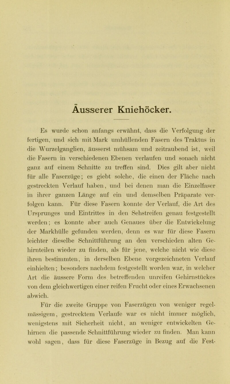 Äusserer Kniehöcker. Es wurde schon anfangs erwähnt, dass die Verfolgung der fertigen, und sich mit Mark umhüllenden Fasern des Traktus in die Wurzelganglien, äusserst mühsam und zeitraubend ist, weil die Fasern in verschiedenen Ebenen verlaufen und sonach nicht ganz auf einem Schnitte zu treffen sind. Dies gilt aber nicht für alle Faserzüge; es gieht solche, die einen der Fläche nach gestreckten Verlauf haben, und bei denen man die Einzelfaser in ihrer ganzen Länge auf ein und demselben Präparate ver- folgen kann. Für diese Fasern konnte der Verlauf, die Art des Ursprunges und Eintrittes in den Sehstreifen genau festgestellt werden; es konnte aber auch Genaues über die Entwickelung der Markhülle gefunden werden, denn es war für diese Fasern leichter dieselbe Schnittführung an den verschieden alten Ge- hirnteilen wieder zu finden, als für jene, welche nicht wie diese ihren bestimmten, in derselben Ebene vorgezeichneten Verlauf einhielten; besonders nachdem festgestellt worden war, in welcher Art die äussere Form des betreffenden unreifen Gehirnstückes von dem gleichwertigen einer reifen Frucht oder eines Erwachsenen abwich. Für die zweite Gruppe von Faserzügen von weniger regel- mässigem, gestrecktem Verlaufe war es nicht immer möglich, wenigstens mit Sicherheit nicht, an weniger entwickelten Ge- hirnen die passende Schnittführung wieder zu finden. Man kann wohl sagen, dass für diese Faserzüge in Bezug auf die Fest-