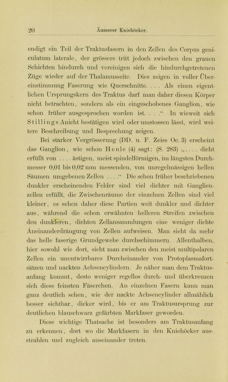 endigt ein Teil der Traktusfasern in den Zellen des Corpus geni- culatum laterale, der grössere tritt jedoch zwischen den grauen Schichten hindurch und vereinigen sich die hindurchgetretenen Züge wieder auf der Thalamusseite. Dies zeigen in voller Über- einstimmung Faserung wie Querschnitte. . . . Als einen eigent- lichen Ursprungskern des Traktus darf man daher diesen Körper nicht betrachten, sondern als ein eingeschobenes Ganglion, wie schon früher ausgesprochen worden ist. . . In wieweit sich S t i 11 i n g s Anicht bestätigen wird oder umstossen lässt, wird wei- tere Beschreibung und Besprechung zeigen. Bei starker Vergrösserung (DD. u. F. Zeiss Oc. 3) erscheint das Ganglion, wie schon Heule (4) sagt: (S. 283) ,,.... dicht erfüllt von .... ästigen, meist spindelförmigen, im längsten Durch- messer 0,01 bis 0,02 mm messenden, von unregelmässigen hellen Säumen umgebenen Zellen .. . Die schon früher beschriebenen dunkler erscheinenden Felder sind viel dichter mit Ganglien- zellen erfüllt, die Zwischenräume der einzelnen Zellen sind viel kleiner, es sehen daher diese Partien weit dunkler und dichter aus, während die schon erwähnten helleren Streifen zwischen den dunkleren, dichten Zellansammlungen eine weniger dichte Aneinander drängung von Zellen aufweisen. Man sieht da mehr o o das helle faserige Grundgewebe durch schimmern. Allenthalben, hier sowohl wie dort, sieht man zwischen den meist multipolaren Zellen ein unentwirrbares Durcheinander von Protoplasmafort- sätzen und nackten Achsencylindern. Je näher man dem Traktus- anfang kommt, desto weniger regellos durch- und überkreuzen sich diese feinsten Fäserchen. An einzelnen Fasern kann man ganz deutlich sehen, wie der nackte Achsencylinder allmählich besser sichtbar, dicker wird, bis er am Traktusursprung zur deutlichen blauschwarz gefärbten Markfaser geworden. o n Diese wichtige Thatsache ist besonders am Traktusanfang o o zu erkennen, dort wo die Markfasern in den Kniehöcker aus- strahlen und zugleich auseinander treten.