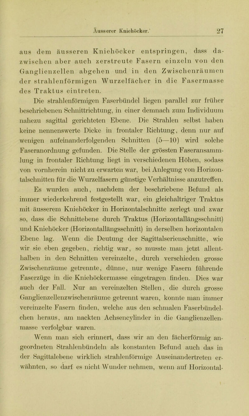 aus dem äusseren Kniehöcker entspringen, dass da- zwischen aber auch zerstreute Fasern einzeln von den Ganglienzellen abgehen und in den Zwischenräumen der strahlenförmigen Wurzelfächer in die Fasermasse des Traktus eintreten. Die strahlenförmigen Faserbündel liegen parallel zur früher beschriebenen Schnittrichtung, in einer demnach zum Individuum nahezu sagittal gerichteten Ebene. Die Strahlen selbst haben keine nennenswerte Dicke in frontaler Richtung, denn nur auf wenigen aufeinanderfolgenden Schnitten (5—10) wird solche Faseranordnung gefunden. Die Stelle der grössten Faseransamm- lung in frontaler Richtung liegt in verschiedenen Höhen, sodass von vornherein nicht zu erwarten war, bei Anlegung von Horizon- talschnitten für die Wurzelfasern günstige Verhältnisse anzutreffen. Es wurden auch, nachdem der beschriebene Befund als immer wiederkehrend festgestellt war, ein gleichaltriger Traktus mit äusserem Kniehöcker in Horizontalschnitte zerlegt und zwar so, dass die Schnittebene durch Traktus (Horizontallängsschnitt) und Kniehöcker (Horizontallängsschnitt) in derselben horizontalen Ebene lag. Wenn die Deutung der Sagittalserienschnitte, wie wir sie eben gegeben, richtig war, so musste man jetzt allent- halben in den Schnitten vereinzelte, durch verschieden grosse Zwischenräume getrennte, dünne, nur wenige Fasern führende Faserzüge in die Kniehöckermasse eingetragen finden. Dies war auch der Fall. Nur an vereinzelten Stellen, die durch grosse Ganglienzellenzwischenräume getrennt waren, konnte man immer vereinzelte Fasern finden, welche aus den schmalen Faserbündel- chen heraus, am nackten Achsencylinder in die Ganglienzellen- masse verfolgbar waren. Wenn man sich erinnert, dass wir an den fächerförmig an- geordneten Strahlenbündeln als konstanten Befund auch das in der Sagittalebene wirklich strahlenförmige Auseinandertreten er- wähnten, so darf es nicht Wunder nehmen, wenn auf Horizontal-