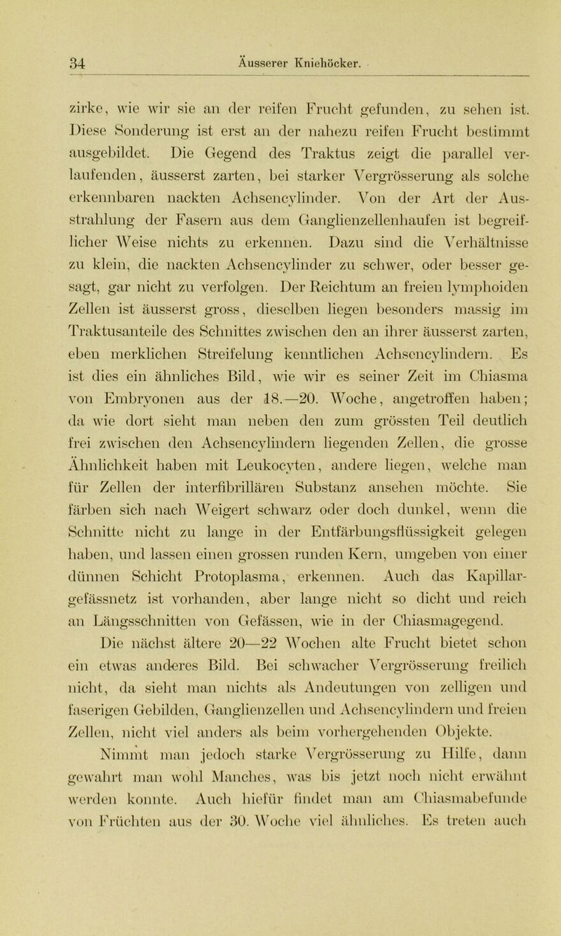 zirke, wie wir sie an der reifen Frucht gefunden, zu sehen ist. Diese Sonderung ist erst an der nahezu reifen Frucht bestimmt ausgebildet. Die Gegend des Traktus zeigt die parallel ver- laufenden , äusserst zarten, bei starker Vergrösserung als solche erkennbaren nackten Achsencvlinder. Von der Art der Aus- Strahlung der Fasern aus dem Ganglienzellenhaufen ist begreif- licher Weise nichts zu erkennen. Dazu sind die Verhältnisse zu klein, die nackten Achsencvlinder zu schwer, oder besser ge- sagt, gar nicht zu verfolgen. Der Reichtum an freien lymphoiden Zellen ist äusserst gross, dieselben liegen besonders massig im Traktusanteile des Schnittes zwischen den an ihrer äusserst zarten, eben merklichen Streif düng kenntlichen Achsency lindern. Es ist dies ein ähnliches Bild, wie wir es seiner Zeit im Chiasma von Embryonen aus der 18.—20. Woche, angetroffen haben; da wie dort sieht man neben den zum grössten Teil deutlich frei zwischen den Achsencylindern liegenden Zellen, die grosse Ähnlichkeit haben mit Leukocyten, andere liegen, welche man für Zellen der interfibrillären Substanz ansehen möchte. Sie färben sich nach Weigert schwarz oder doch dunkel, wenn die Schnitte nicht zu lange in der Entfärbungsflüssigkeit gelegen haben, und lassen einen grossen runden Kern, umgeben von einer dünnen Schicht Protoplasma, erkennen. Auch das Kapillar- gefässnetz ist vorhanden, aber lange nicht so dicht und reich an Längsschnitten von Gefässen, wie in der Chiasmagegend. Die nächst ältere 20—22 Wochen alte Frucht bietet schon ein etwas anderes Bild. Bei schwacher Vergrösserung freilich nicht, da sieht man nichts als Andeutungen von zelligen und faserigen Gebilden, Ganglienzellen und Achsencylindern und freien Zellen, nicht viel anders als beim vorhergehenden Objekte. Nimmt man jedoch starke Vergrösserung zu Hilfe, dann gewahrt man wohl Manches, was bis jetzt noch nicht erwähnt werden konnte. Auch hiefür findet man am Chiasmabefunde von Früchten aus der 30. Woche viel ähnliches. Es treten auch