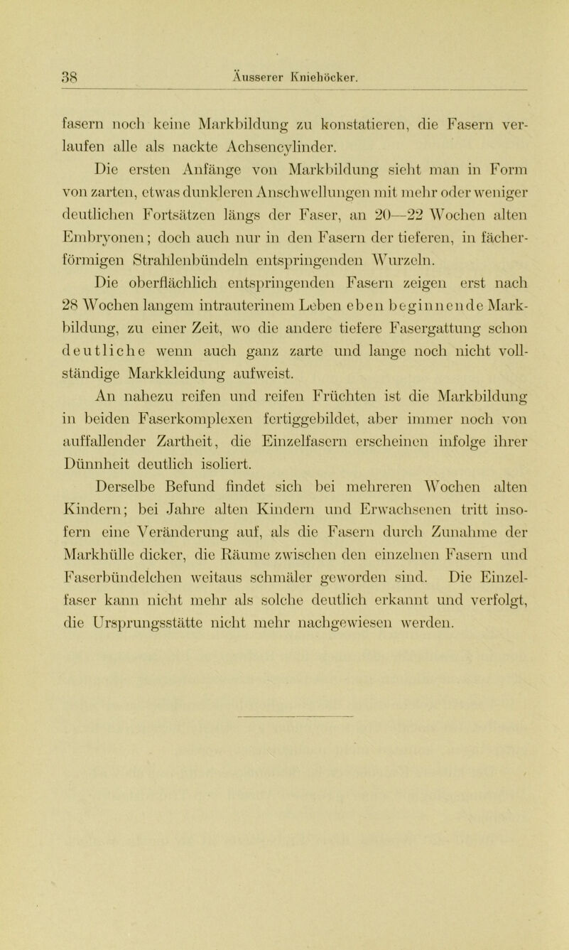 fasern noch keine Markbildung zu konstatieren, die Fasern ver- laufen alle als nackte Achsencvlinder. Die ersten Anfänge von Markbildung sieht man in Form von zarten, etwas dunkleren Anschwellungen mit mehr oder weniger deutlichen Fortsätzen längs der Faser, an 20—22 Wochen alten Embryonen; doch auch nur in den Fasern der tieferen, in fächer- förmigen Strahlenbündeln entspringenden Wurzeln. Die oberflächlich entspringenden Fasern zeigen erst nach 28 Wochen langem intrauterinem Leben eben beginnende Mark- bildung, zu einer Zeit, wo die andere tiefere Fasergattung schon deutliche wenn auch ganz zarte und lange noch nicht voll- ständige Markkleidung auf weist. An nahezu reifen und reifen Früchten ist die Markbildung in beiden Faserkomplexen fertiggebildet, aber immer noch von auffallender Zartheit, die Einzelfasern erscheinen infolge ihrer Dünnheit deutlich isoliert. Derselbe Befund findet sich bei mehreren Wochen alten Kindern; bei Jahre alten Kindern und Erwachsenen tritt inso- fern eine Veränderung auf, als die Fasern durch Zunahme der Markhülle dicker, die Räume zwischen den einzelnen Fasern und Faserbündeichen weitaus schmäler geworden sind. Die Einzel- faser kann nicht mehr als solche deutlich erkannt und verfolgt, die Ursprungsstätte nicht mehr nachgewiesen werden.
