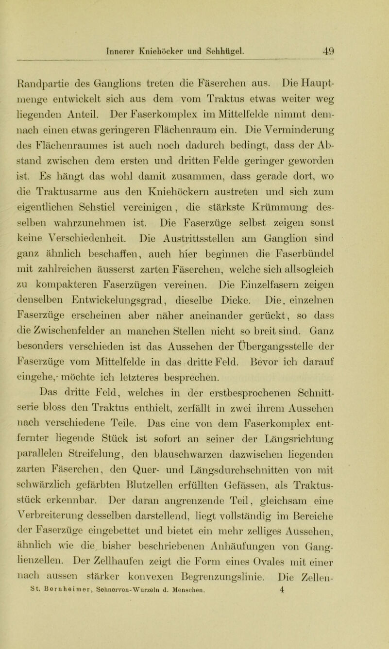Randpartie des Ganglions treten die Fäserchen aus. Die Haupt- menge entwickelt sich aus dem vom Traktus etwas weiter weg liegenden Anteil. Der Faserkomplex im Mittelfelde nimmt dem- nach einen etwas geringeren Flächenraum ein. Die Verminderung des Flächenraumes ist auch noch dadurch bedingt, dass der Ab- stand zwischen dem ersten und dritten Felde geringer geworden ist. Es hängt das wohl damit zusammen, dass gerade dort, wo die Traktusarme aus den Kniehöckern austreten und sich zum eigentlichen Sehstiel vereinigen, die stärkste Krümmung des- selben wahrzunehmen ist. Die Faserzüge selbst zeigen sonst keine Verschiedenheit. Die Austrittsstellen am Ganglion sind ganz ähnlich beschaffen, auch hier beginnen die Faserbündel mit zahlreichen äusserst zarten Fäserchen, welche sich allsogleich zu kompakteren Faserzügen vereinen. Die Einzelfasern zeigen denselben Entwickelungsgrad, dieselbe Dicke. Die. einzelnen Faserzüge erscheinen aber näher aneinander gerückt, so dass die Zwischenfelder an manchen Stellen nicht so breit sind. Ganz besonders verschieden ist das Aussehen der Übergangsstelle der Faserzüge vom Mittelfelde in das dritte Feld. Bevor ich darauf eingehe,- möchte ich letzteres besprechen. Das dritte Feld, welches in der erstbesprochenen Schnitt- serie bloss den Traktus enthielt, zerfällt in zwei ihrem Aussehen nach verschiedene Teile. Das eine von dem Faserkomplex ent- fernter liegende Stück ist sofort an seiner der Längsrichtung parallelen Streifelung, den blauschwarzen dazwischen liegenden zarten Fäserchen, den Quer- und Längsdurchschnitten von mit schwärzlich gefärbten Blutzellen erfüllten Gefässen, als Traktus- stück erkennbar. Der daran angrenzende Teil, gleichsam eine Verbreiterung desselben darstellend, liegt vollständig im Bereiche der Faserzüge eingebettet und bietet ein mehr zelliges Aussehen, ähnlich wie die^ bisher beschriebenen Anhäufungen von Gang- lienzellen. Der Zellhaufen zeigt die Form eines Ovales mit einer nach aussen stärker konvexen Begrenzungslinie. Die Zellen- St. Bernheimer, Sehnervon-Wurzeln d. Menschen. 4