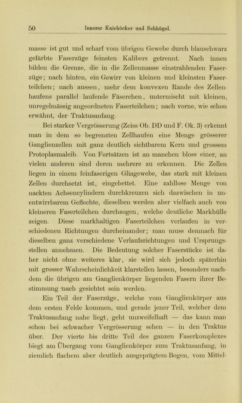 masse ist gut und scharf vom übrigen Gewebe durch blauschwarz gefärbte Faserzüge feinsten Kalibers getrennt. Nach innen bilden die Grenze, die in die Zellenmasse einstrahlenden Faser- ziige; nach hinten, ein Gewirr von kleinen und kleinsten Faser- teilchen; nach aussen, mehr dem konvexen Rande des Zellen- haufens parallel laufende Fäserchen, untermischt mit kleinen, unregelmässig angeordneten Faserteilchen; nach vorne, wie schon erwähnt, der Traktusanfang. Bei starker Vergrösserung (Zeiss Ob. DD und F. Ok. 3) erkennt man in dem so begrenzten Zellhaufen eine Menge grösserer Ganglienzellen mit ganz deutlich sichtbarem Kern und grossem Protoplasmaleib. Von Fortsätzen ist an manchen bloss einer, an vielen anderen sind deren mehrere zu erkennen. Die Zellen liegen in einem feinfaserigen Gliagewebe, das stark mit kleinen Zellen durchsetzt ist, eingebettet. Eine zahllose Menge von nackten Achsencylindern durchkreuzen sich dazwischen in un- entwirrbarem Geflechte, dieselben werden aber vielfach auch von kleineren Faserteilchen durchzogen, welche deutliche Markhülle zeigen. Diese markhaltigen Faserteilchen verlaufen in ver- schiedenen Richtungen durcheinander; man muss demnach für dieselben ganz verschiedene Verlaufsrichtungen und Ursprungs- Stellen annehmen. Die Bedeutung solcher Faserstücke ist da- her nicht ohne weiteres klar, sie wird sich jedoch späterhin mit grosser Wahrscheinlichkeit klarstellen lassen, besonders nach- dem die übrigen am Ganglienkörper liegenden Fasern ihrer Be- stimmung nach gesichtet sein werden. Ein Teil der Faserzüge, welche vom Ganglienkörper aus dem ersten Felde kommen, und gerade jener Teil, welcher dem Traktusanfang nahe liegt, geht unzweifelhaft — das kann man schon bei schwacher Vergrösserung sehen — in den Traktus über. Der vierte bis dritte Teil des ganzen Faserkomplexes biegt am Übergang vom Ganglienkörper zum Traktusanfang, in ziemlich flachem aber deutlich ausgeprägtem Bogen, vom Mittel-