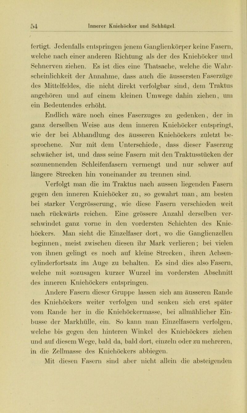 fertigt. Jedenfalls entspringen jenem Ganglienkörper keine Fasern, welche nach einer anderen Richtung als der des Kniehöcker und Sehnerven ziehen. Es ist dies eine Thatsache, welche die Wahr- scheinlichkeit der Annahme, dass auch die äussersten Faserzüge des Mittelfeldes, die nicht direkt verfolgbar sind, dem Traktus angehören und auf einem kleinen Umwege dahin ziehen, um ein Bedeutendes erhöht. Endlich wäre noch eines Faserzuges zu gedenken, der in ganz derselben Weise aus dem inneren Kniehöcker entspringt, wie der bei Abhandlung des äusseren Kniehöckers zuletzt be- sprochene. Nur mit dem Unterschiede, dass dieser Faserzug schwächer ist, und dass seine Fasern mit den Traktusstücken der sozunennenden Schleifenfasern vermengt und nur schwer auf längere Strecken hin voneinander zu trennen sind. Verfolgt man die im Traktus nach aussen liegenden Fasern gegen den inneren Kniehöcker zu, so gewahrt man, am besten bei starker Vergrösserung, wie diese Fasern verschieden weit nach rückwärts reichen. Eine grössere Anzahl derselben ver- schwindet ganz vorne in den vordersten Schichten des Knie- höckers. Man sieht die Einzelfaser dort, wo die Ganglienzellen beginnen, meist zwischen diesen ihr Mark verlieren; bei vielen von ihnen gelingt es noch auf kleine Strecken, ihren Achsen- cylindertortsatz im Auge zu behalten. Es sind dies also Fasern, welche mit sozusagen kurzer Wurzel im vordersten Abschnitt des inneren Kniehöckers entspringen. Andere Fasern dieser Gruppe lassen sich am äusseren Rande des Kniehöckers weiter verfolgen und senken sich erst später vom Rande her in die Kniehöckermasse, bei allmählicher Ein- busse der Markhülle, ein. So kann man Einzelfasern verfolgen, welche bis gegen den hinteren Winkel des Kniehöckers ziehen und auf diesem Wege, bald da, bald dort, einzeln oder zu mehreren, in die Zellmasse des Kniehöckers abbiegen. Mit diesen Fasern sind aber nicht allein die absteigenden