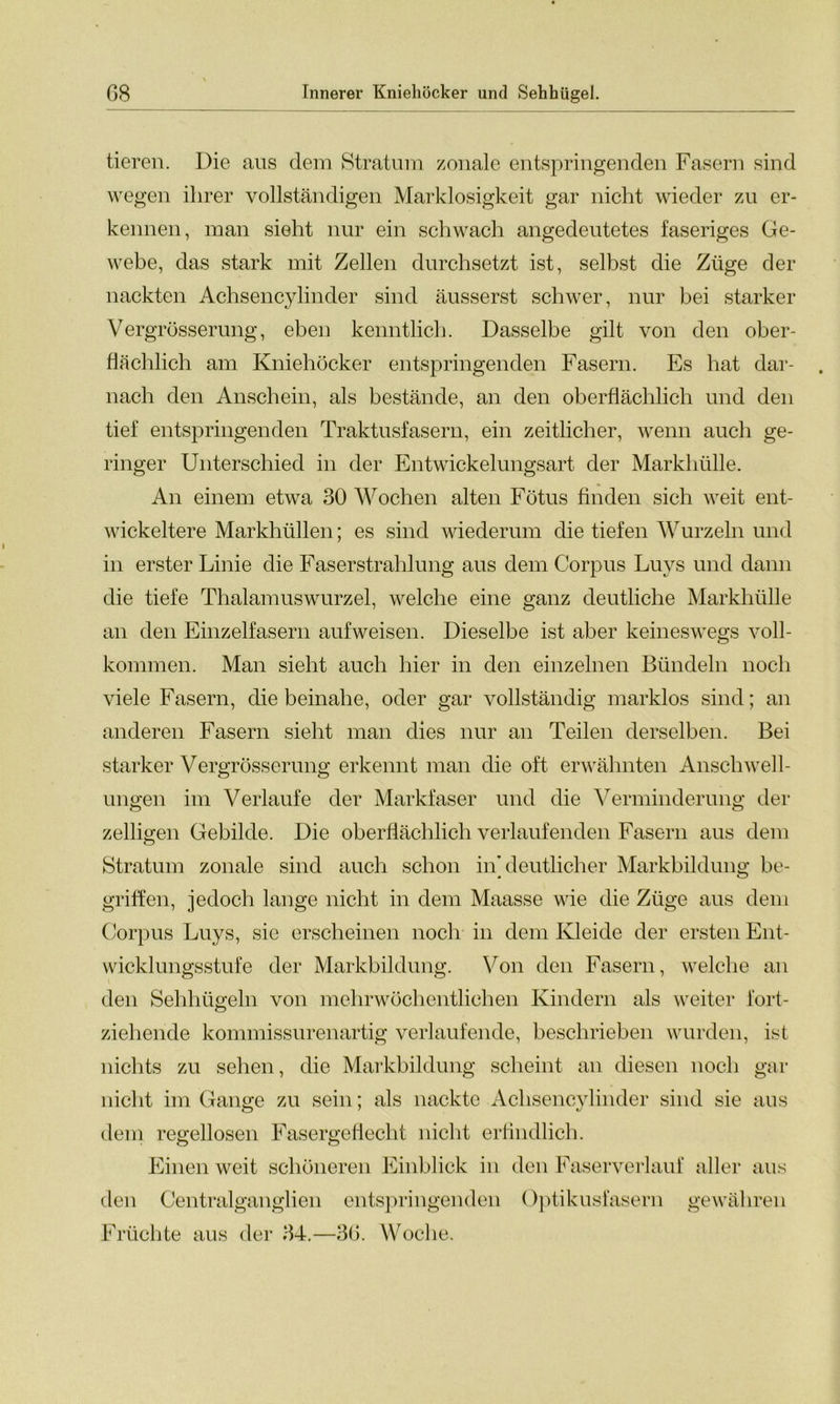 tieren. Die aus dem Stratum zonale entspringenden Fasern sind wegen ihrer vollständigen Marklosigkeit gar nicht wieder zu er- kennen, man sieht nur ein schwach angedeutetes faseriges Ge- webe, das stark mit Zellen durchsetzt ist, selbst die Züge der nackten Achsencylinder sind äusserst schwer, nur bei starker Vergrösserung, eben kenntlich. Dasselbe gilt von den ober- flächlich am Kniehöcker entspringenden Fasern. Es hat dar- nach den Anschein, als bestände, an den oberflächlich und den tief entspringenden Traktusfasern, ein zeitlicher, wenn auch ge- ringer Unterschied in der Entwickelungsart der Markhülle. An einem etwa 30 Wochen alten Fötus finden sich weit ent- wickeltere Markhüllen; es sind wiederum die tiefen Wurzeln und in erster Linie die Faserstrahlung aus dem Corpus Luvs und dann die tiefe Thalamuswurzel, welche eine ganz deutliche Markhülle an den Einzelfasern aufweisen. Dieselbe ist aber keineswegs voll- kommen. Man sieht auch hier in den einzelnen Bündeln noch viele Fasern, diebeinahe, oder gar vollständig marklos sind; an anderen Fasern sieht man dies nur an Teilen derselben. Bei starker Vergrösserung erkennt man die oft erwähnten Anschwell- ungen im Verlaufe der Markfaser und die Verminderung der zelligen Gebilde. Die oberflächlich verlaufenden Fasern aus dem Stratum zonale sind auch schon in'deutlicher Markbildung be- griffen, jedoch lange nicht in dem Maasse wie die Züge aus dem Corpus Luys, sie erscheinen noch in dem Kleide der ersten Ent- wicklungsstufe der Markbildung. Von den Fasern, welche an den Sehhügeln von mehrwöchentlichen Kindern als weiter fort- ziehende kommissurenartig verlaufende, beschrieben wurden, ist nichts zu sehen, die Markbildung scheint an diesen noch gar nicht im Gange zu sein; als nackte Achsencylinder sind sie aus dem regellosen Fasergeflecht nicht erfindlich. Einen weit schöneren Einblick in den Faserverlauf aller aus den Centralganglien entspringenden Optikusfasern gewähren Früchte aus der 34.—36. Woche.