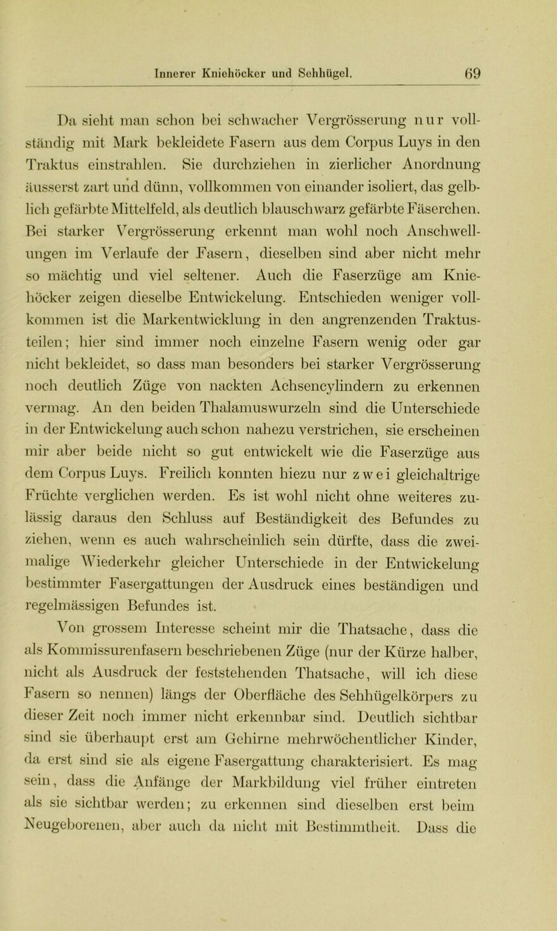 Da sieht man schon bei schwacher Vergrösserung nur voll- ständig mit Mark bekleidete Fasern aus dem Corpus Luys in den Traktus einstrahlen. Sie durchziehen in zierlicher Anordnung äusserst zart und dünn, vollkommen von einander isoliert, das gelb- lich gefärbte Mittelfeld, als deutlich blauschwarz gefärbte Fäserchen. Bei starker Vergrösserung erkennt man wohl noch Anschwell- ungen im Verlaufe der Fasern, dieselben sind aber nicht mehr so mächtig und viel seltener. Auch die Faserzüge am Knie- höcker zeigen dieselbe Entwickelung. Entschieden weniger voll- kommen ist die Markentwicklung in den angrenzenden Traktus- teilen; hier sind immer noch einzelne Fasern wenig oder gar nicht bekleidet, so dass man besonders bei starker Vergrösserung noch deutlich Züge von nackten Achsencylindern zu erkennen vermag. An den beiden Thalamus wurzeln sind die Unterschiede in der Entwickelung auch schon nahezu verstrichen, sie erscheinen mir aber beide nicht so gut entwickelt wie die Faserzüge aus dem Corpus Luys. Freilich konnten hiezu nur zwei gleichaltrige Früchte verglichen werden. Es ist wohl nicht ohne weiteres zu- lässig daraus den Schluss auf Beständigkeit des Befundes zu ziehen, wenn es auch wahrscheinlich sein dürfte, dass die zwei- malige Wiederkehr gleicher Unterschiede in der Entwickelung bestimmter Fasergattungen der Ausdruck eines beständigen und regelmässigen Befundes ist. Von grossem Interesse scheint mir die Thatsache, dass die als Kommissurenfasern beschriebenen Züge (nur der Kürze halber, nicht als Ausdruck der feststehenden Thatsache, will ich diese Fasern so nennen) längs der Oberfläche des Sehhügelkörpers zu dieser Zeit noch immer nicht erkennbar sind. Deutlich sichtbar sind sie überhaupt erst am Gehirne mehrwöchentlicher Kinder, da erst sind sie als eigene Fasergattung charakterisiert. Es mag sein, dass die Anfänge der Markbildung viel früher eintreten als sie sichtbar werden; zu erkennen sind dieselben erst beim Neugeborenen, aber auch da nicht mit Bestimmtheit. Dass die