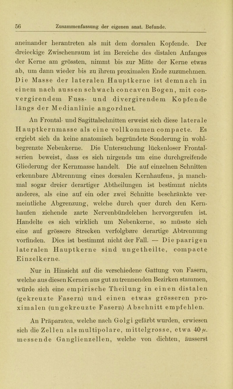 aneinander herantreten als mit dem dorsalen Kopfende. Der dreieckige Zwischenraum ist im Bereiche des distalen Anfanges der Kerne am grössten, nimmt bis zur Mitte der Kerne etwas ab, um dann wieder bis zu ihrem proximalen Ende zuzunehmen. Die Masse der lateralen Hauptkerne ist demnach in einem nach aussen schwach concaven Bogen, mit con- vergirendem Fuss- und di vergirendem Kopfende längs der Medianlinie angordnet. An Frontal- und Sagittalschnitten erweist sich diese laterale Hauptkernmasse als eine vollkommen compacte. Es ergiebt sich da keine anatomisch begründete Sonderung in wohl- begrenzte Nebenkerne. Die Untersuchung lückenloser Frontal- serien beweist, dass es sich nirgends um eine durchgreifende Gliederung der Kernmasse handelt. Die auf einzelnen Schnitten erkennbare Abtrennung eines dorsalen Kernhaufens, ja manch- mal sogar dreier derartiger Abtheilungen ist bestimmt nichts anderes, als eine auf ein oder zwei Schnitte beschränkte ver- meintliche Abgrenzung, welche durch quer durch den Kern- haufen ziehende zarte Nervenbündelchen hervorgerufen ist. Handelte es sich wirklich um Nebenkerne, so müsste sich eine auf grössere Strecken verfolgbare derartige Abtrennung vorfinden. Dies ist bestimmt nicht der Fall. — Die paarigen lateralen Hauptkerne sind ungetheilte, compacte Einzelkerne. Nur in Hinsicht auf die verschiedene Gattung von Fasern, welche aus diesen Kernen aus gut zu trennenden Bezirken stammen, würde sich eine empirische Theilung in einen distalen (gekreuzte Fasern) und einen etwas grösseren pro- ximalen (ungekreuzte Fasern) Abschnitt empfehlen. An Präparaten, welche nach Golgi gefärbt wurden, erwiesen sich die Zellen als multipolare, mittelgrosse, etwa 40 u. messende Ganglienzellen, welche von dichten, äusserst