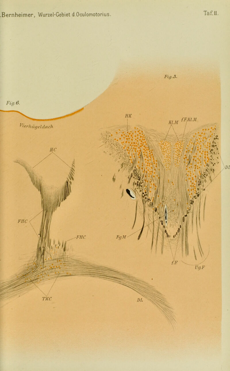 Fig.3.