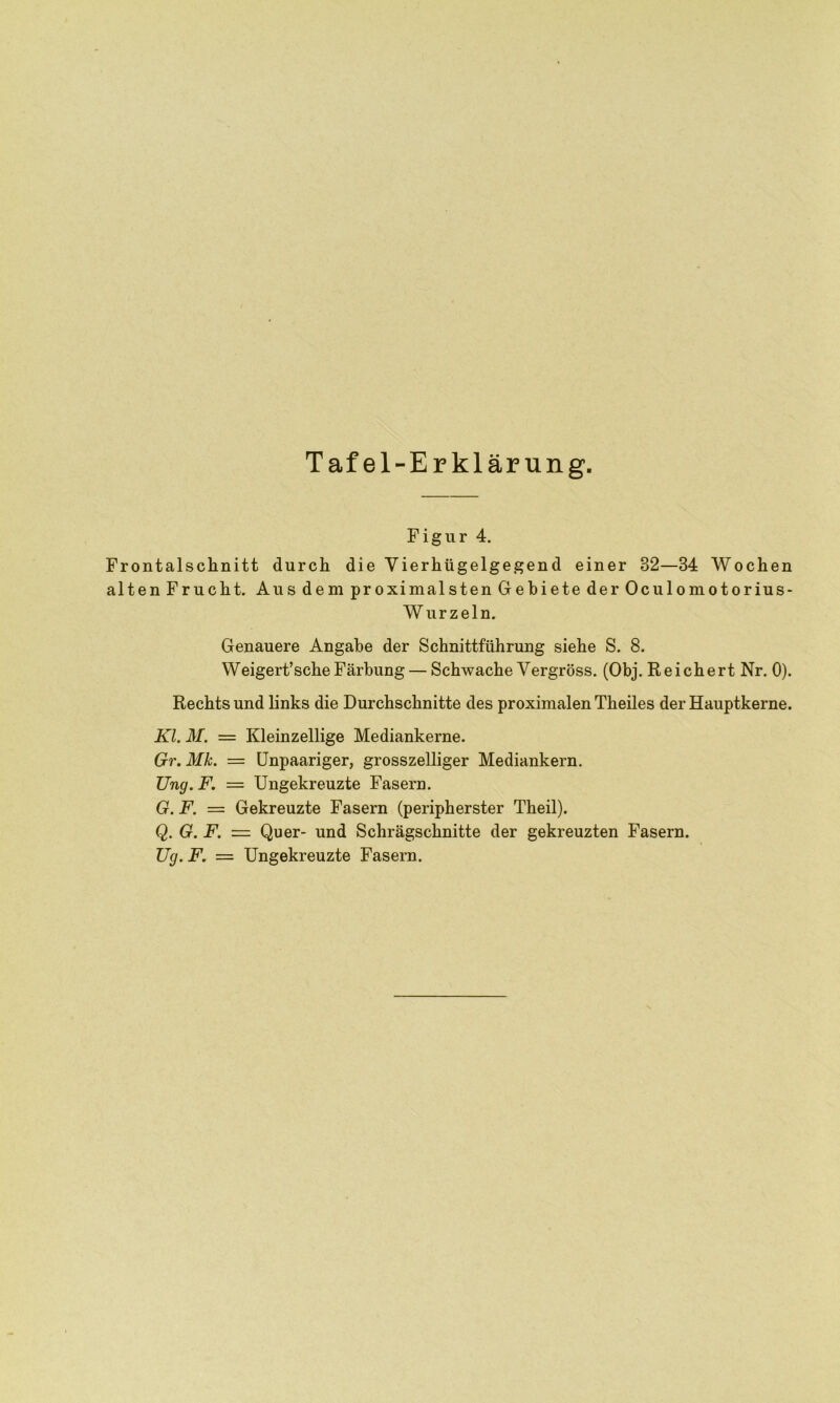 Figur 4. Frontalsclinitt durch die Vierhügelgegend einer 32—84 Wochen alten Frucht. Aus dem proximalsten Gebiete der Oculomotorius- W urzeln. Genauere Angabe der Schnittführung siehe S. 8. Weigert’sche Färbung— Schwache Vergröss. (Obj. Reichert Nr. 0). Rechts und links die Durchschnitte des proximalen Theiles der Hauptkerne. Kl. M. = Kleinzellige Mediankerne. Gr. Mk. = Unpaariger, grosszelliger Mediankern. TJng. F. = Ungekreuzte Fasern. G. F. = Gekreuzte Fasern (peripherster Theil). Q. G. F. = Quer- und Schrägschnitte der gekreuzten Fasern. Ug. F. = Ungekreuzte Fasern.