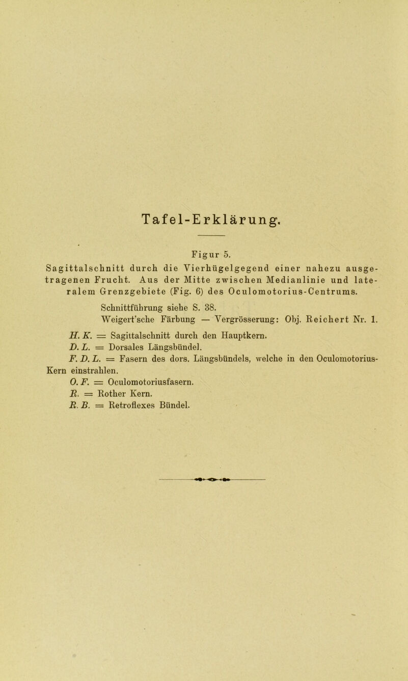 Figur 5. Sagittalsclinitt durch die Vierhügelgegend einer nahezu ausge- tragenen Frucht. Aus der Mitte zwischen Medianlinie und late- ralem Grenzgebiete (Fig. 6) des Oculomotorius-Centrums. Schnittführung siehe S. 88. Weigert’sche Färbung — Vergrösserung: Obj. Reichert Nr. 1. H. K. = Sagittalsclinitt durch den Hauptkern. D. L. = Dorsales Längsbündel. F. D. L. = Fasern des dors. Längsbündels, welche in den Oculomotorius- Kern einstrahlen. 0. F. = Oculomotoriusfasern. B. = Rother Kern. B. B. = Retroflexes Bündel.