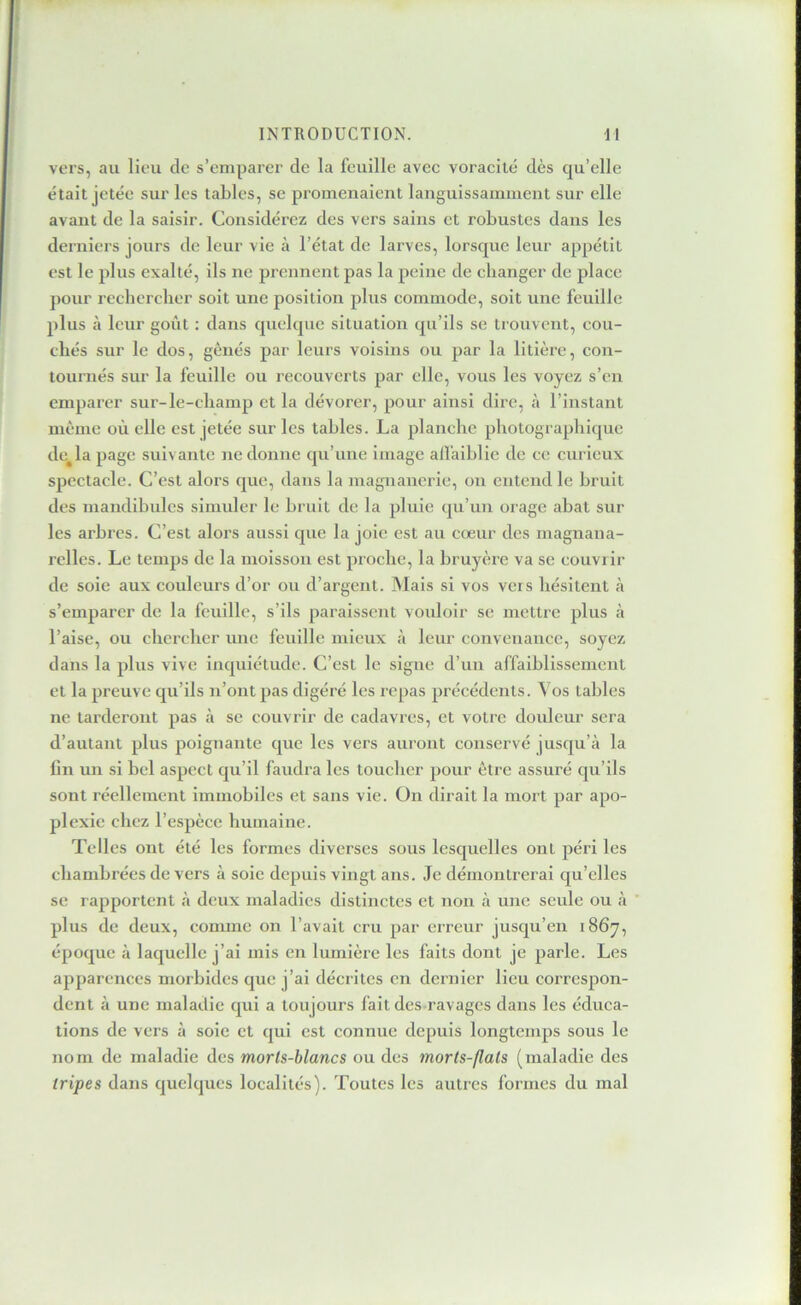 vers, au lieu de s’emparer de la feuille avec voracité dès qu’elle était jetée sur les tables, se promenaient languissamment sur elle avant de la saisir. Considérez des vers sains et robustes dans les derniers jours de leur vie à l’état de larves, lorsque leur appétit est le plus exalté, ils ne prennent pas la peine de cbanger de place j>our rechercher soit une position plus commode, soit une feuille plus à leur goût : dans quelque situation qu’ils se trouvent, cou- chés sur le dos, gênés par leurs voisins ou par la litière, con- tournés sur la feuille ou recouverts par elle, vous les voyez s’en emparer sur-le-champ et la dévorer, pour ainsi dire, à l’instant même où elle est jetée sur les tables. La planche photographique de^la page suivante ne donne qu’une image all'aiblie de ce curieux spectacle. C’est alors que, dans la magnanerie, on entend le bruit des mandibules simider le bruit de la pluie qu’un orage abat sur les arbres. C’est alors aussi que la joie est au cœur des magnana- relles. Le temps de la moisson est proche, la bruyère va se couviir de soie aux couleurs d’or ou d’argent. Mais si vos vers hésitent k s’emparer de la feuille, s’ils paraissent vouloir se mettre plus à l’aise, ou chercher une feuille mieux à leur convenance, soyez dans la plus vive inquiétude. C’est le signe d’un affaiblissement et la preuve qu’ils n’ont pas digéré les rejras précédents. Vos tables ne tarderont pas à se couvrir de cadavres, et votre douleur sera d’autant plus poignante que les vers auront conservé jusqu’à la lin un si bel aspect qu’il faudra les toucher pour être assuré qu’ils sont réellement immobiles et sans vie. ün dirait la mort par apo- plexie chez l’espèce humaine. Telles ont été les formes diverses sous lesquelles ont péri les chambrées de vers à soie depuis vingt ans. Je démontrerai qu’elles se rapportent à deux maladies distinctes et non à une seule ou à plus de deux, comme on l’avait cru par erreur jusqu’en 1867, époque à laquelle j’ai mis en lumière les faits dont je parle. Les apparences morbides que j’ai décrites en dernier lieu correspon- dent à une maladie qui a toujours fait des ravages dans les éduca- tions de vers à soie et qui est connue depuis longtemps sous le nom de maladie des morls-blancs ou des morts-flats (maladie des tripes dans quelques localités). Toutes les autres formes du mal