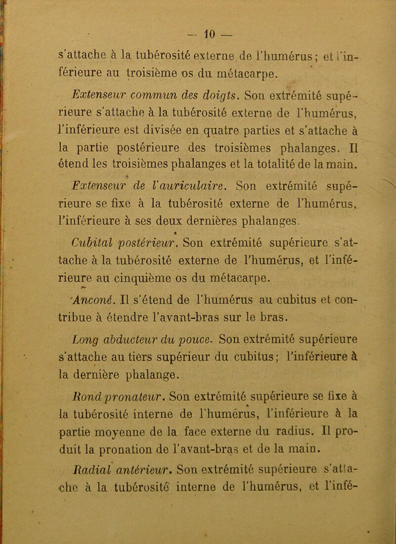 s’attache à la tubérosité externe de l’humérus; et l’in- férieure au troisième os du métacarpe. Extenseur commun des doigts. Son extrémité supé- rieure s’attache à la tubérosité externe de l’humérus, l’inférieure est divisée en quatre parties et s’attache à la partie postérieure des troisièmes phalanges. Il étend les troisièmes phalanges et la totalité de la main. 4 Extenseur de l’auriculaire. Son extrémité supé- rieure se fixe à la tubérosité externe de l’humérus, l’inférieure à ses deux dernières phalanges. « Cubital 'postérieur. Son extrémité supérieure s’at- tache à la tubérosité externe de l’humérus, et l’infé- rieure au cinquième os du métacarpe. Anconé. Il s’étend de l’humérus au cubitus et con- tribue à étendre l’avant-bras sur le bras. Long abducteur du pouce. Son extrémité supérieure s’attache au tiers supérieur du cubitus; l'inférieure à la dernière phalange. Rond pronateur. Son extrémité supérieure se fixe à la tubérosité interne de l’humérus, l’inférieure à la partie moyenne de la face externe du radius. Il pro- duit la pronation de l’avant-bras et de la main. Radial antérieur. Son extrémité supérieure s’atta- che à la tubérosité interne de l’humérus, et l’infé-