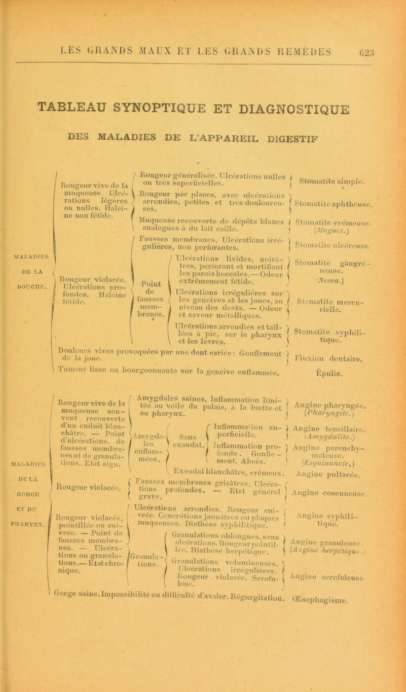 TABLEAU SYNOPTIQUE ET DIAGNOSTIQUE DES MALADIES DE L’APPAREIL DIGESTIF MALADIES DE LA BOUCH IC. Rougeur vive do la muqueuse. rations Iég ou nulles. Halei- ne non fétide. rc de la : . Ulcé- V légères ' / Rougeur généralisée. Ulcérations nulles ou très superficielles. Rougeur par places, avec ulcérations arrondies, petites et très douloureu- ses. Muqueuse recouverte de dépôts blancs analogues à du lait caillé. Fausses membranes. Ulcérations irré- gulières, non perforantes. / Ulcérations livides, noirâ- tres, perforant et mortifiant I les parois buccales.— Odeur ( Point l extrêmement fétide. de 1 Ulcérations irrégulières sur fausses / les gencives et les joues, au mem- 1 niveau des dents. — Odeur branes. / et saveur métalliques. Ulcérations arrondies et tail- lées à pic, sur le pharynx et les lèvres. Douleurs vives provoquées par une dent cariée: Ronflement de la joue. Tumeur lisse ou bourgeonnante sur la gencive enflammée. Rougeur violacée. Ulcérations pro- fondes. Haleine fétide. Stomatite simple. * Stomatite aphthcusc. Stomatite crémeuse. [Muguet.) Stomatite ulcéreuse. Stomatite gangré- neuse. ’Noma.) Stomatite mercu- rielle. Stomatite syphili- tique! Fluxion dentaire- Épulis. / maladies DE LA GORGE ET DU PHARYNX. Rougeurvive de la muqueuse sou- vent recouverte d’un enduit blan- châtre. — Point d'ulcérations, de fausses membra- nes ni de granula- tions. Etat ai nu. Rougeur violacée. Rougeur violacée, poinlillée ou cui- vrée. — Point de fausses membra- nes. — Ulcéra- tions ou granula- tions.— Etat chro- nique. /.Amygdales saines. Inflammation limi- tée au voile du palais, à la luette et au pharynx. ygda-1 Sans ^ les i exsudât. \ i Am les enflam- mées Inflammation pcrficielle. su- général Ulcérations arrondies. Rougeur cui- vrée. Concrétions jaunâtres ou iliaques muqueuses. Diathèse syphilitique. Granulations oblongues, sans ulcérations. Rougeur pointil- lée. Diathèse herpétique. Granulations volumineuses. Ulcérations irrégulières .' Rougeur violacée. Scrofu- lose. ( Angine pharyngée- i (Pharyngite.) \ Inflammation pro- I fonde . Gonfle - ment. Abcès. V Exsudât blanchâtre, crémeux Fausses membranes grisâtres. Ulcéra- tions profondes. — Etat grave. ) Angine tonsillairo. j {Amygdalite.) 'j Angine parenchy- mateuse. ; (Esquinancic.) Angine pultacée. ( Angine couenneusc. [Granule - tions. r \ Angine syphili- I tique. ) Angine granuleuse, j (Angine herpétique.) Gorge saine. Impossibilité ou difficulté d’avaler. Régurgitation. Angine scrofuleuse. OEsophagisme.