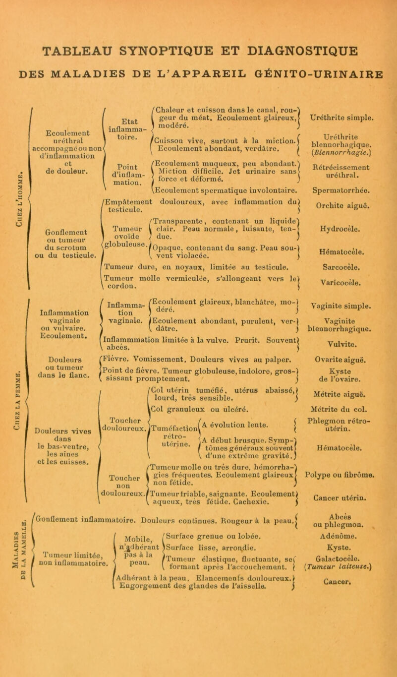 TABLEAU SYNOPTIQUE ET DIAGNOSTIQUE DES MALADIES DE L’APPAREIL GÉNITO-URINAIRE U a a O N U Ecoulement uréthral accompagnéou non' d’inflammation et de douleur. Gonflement ou tumeur du scrotum ou du testicule. Etat inflamma- toire. Point d’inflam- mation. ''Chaleur et cuisson dans le canal, rou- geur du méat. Ecoulement glaireux, modéré. 'Cuisson vive, surtout à la miction. Ecoulement abondant, verdâtre. /'Ecoulement muqueux, peu abondant.) \ Miction difficile. Jet urinaire sans) j force et déformé. ) \Ecoulemcnt spermatique involontaire. /Empâtement douloureux, avec inflammation du testicule. /Transparente, contenant un liquide Tumeur l clair. Peau normale, luisante, ten- ovoïde 1 duc. /globuleuse.^Opaque, conlenantdu sang. Peau sou-} V vont violacée. ) f Tumeur dure, en noyaux, limitée au testicule. (Tumeur mollo vermiculée, s’allongeant vers le) cordon. < Inflammation vaginale ou vulvaire. Ecoulement. Douleurs ou tumeur dans le flanc. 3 Douleurs vives dans le bas-ventre, les aines et les cuisses. /Ecoulement glaireux, blanchâtre, mo-j déré. i Inflamma- tion vaginale. ^Ecoulement abondant, purulent, ver-} dâtre. ) Souvent) , Inflammmation limitée à la vulve. Prurit abcès. Î Fièvre. Vomissement. Douleurs vives au palper. Point de fièvre. Tumeur globuleuse, indolore, gros-) sissant promptement. j Col utérin tuméfié, utérus abaissé,) lourd, très sensible. j Col granuleux ou ulcéré. douwïux.iTuméfaction(A évolution lcnte- utérine iA début bruscluo- s.YmP-) f tomes généraux souvent > V d’une extrême gravité.) S Tumeur molle ou très dure, hémorrha-) gies fréquentes. Ecoulement glaireux) non fétide. ) Tumeur friable, saignante. Ecoulement} aqueux, très fétide. Cachexie. IGonflement inflammatoire. Douleurs continues. Rougeur à la peau. Tumeur limitée, non inflammatoire. Mobile /Surface grenue ou lobée, n’jdhérant )Surface lisse, arrondie. ^ peau * f Tumeur élastique, fluctuante, sef 1 ' \ formant après l’accouchement. ) 'Adhérant à la peau. Elancements douloureux.) Engorgement des glandes de l’aisselle. j Uréthrite simple. Uréthrite blennorhagique. (.Blennorrhagie.) Rétrécissement uréthral. Spermatorrhée. Orchite aiguë. Hydrocèle. Hématocèle. Sarcocèle. Varicocèle. Vaginite simple. Vaginite blennorrhagique. Vulvite. Ovarite aiguë. Kyste de l’ovaire. Métrite aiguë. Métrite du col. Phlegmon rétro- utérin. Hématocèle. Polype ou fibrome. Cancer utérin. Abcès ou phlegmon. Adénome. Kyste. Galactocèle. (Tumeur laiteuse.) Cancer.